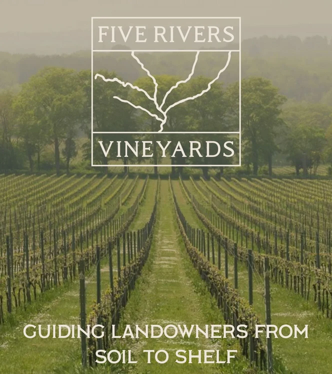 I&rsquo;ve got a website! Feeling quite proud and excited 🤩

Link in bio&hellip;

Thank you @charliestraw_design xx