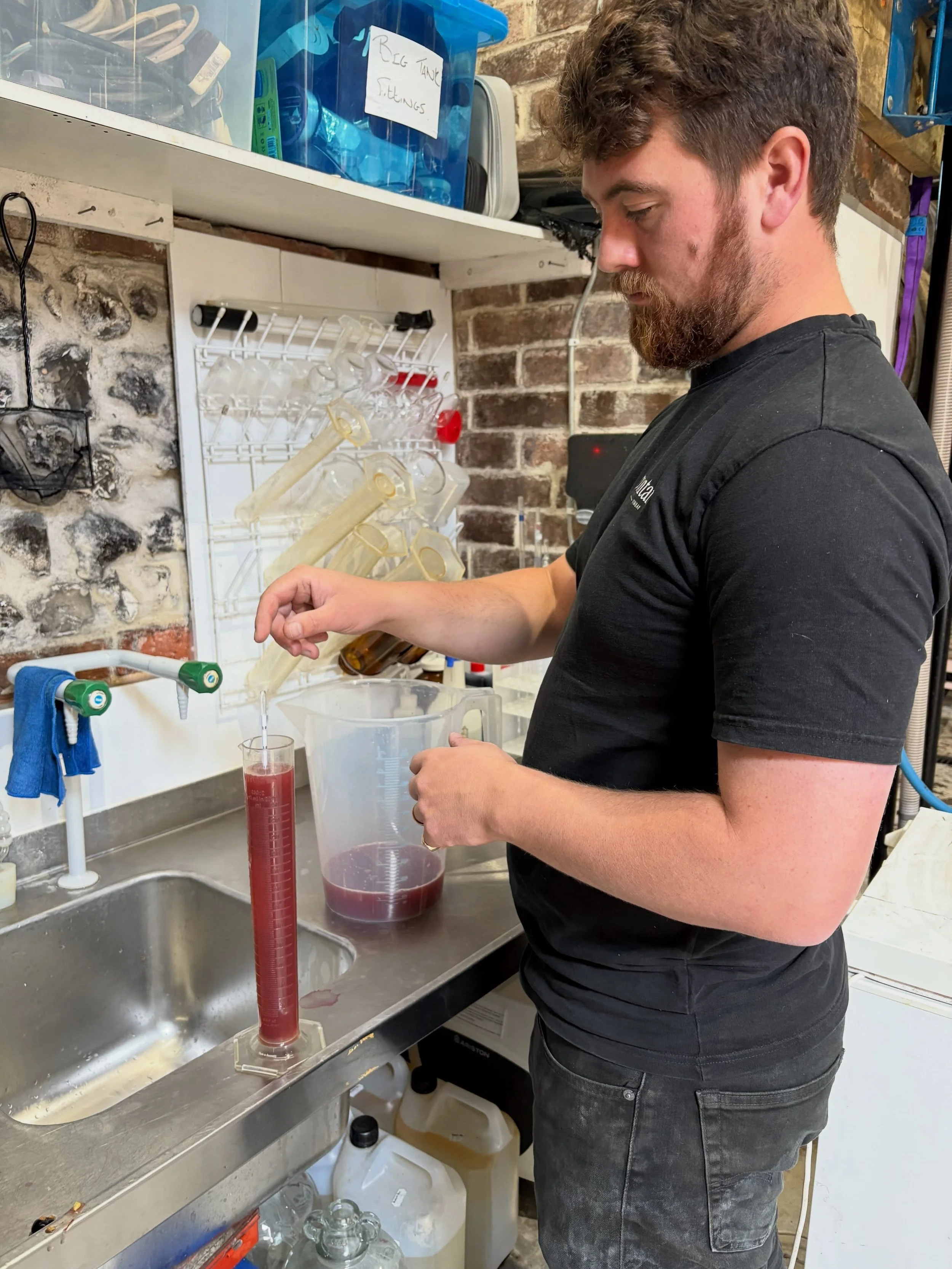 Jesse&rsquo;s Vineyard Post Press Juice Analysis 

79 Oechsle (10.6% abv)
2.93 PH
11.5 g/l TA

Perfectly balanced juice, made into wine by legend @tommy__grimshaw @langhamwinery 

This is going to be super special!