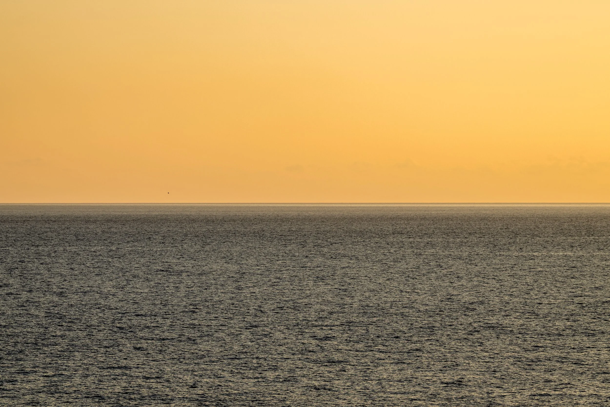Atlantic Ocean shot, bottom acean and top sky. And a gloden sky