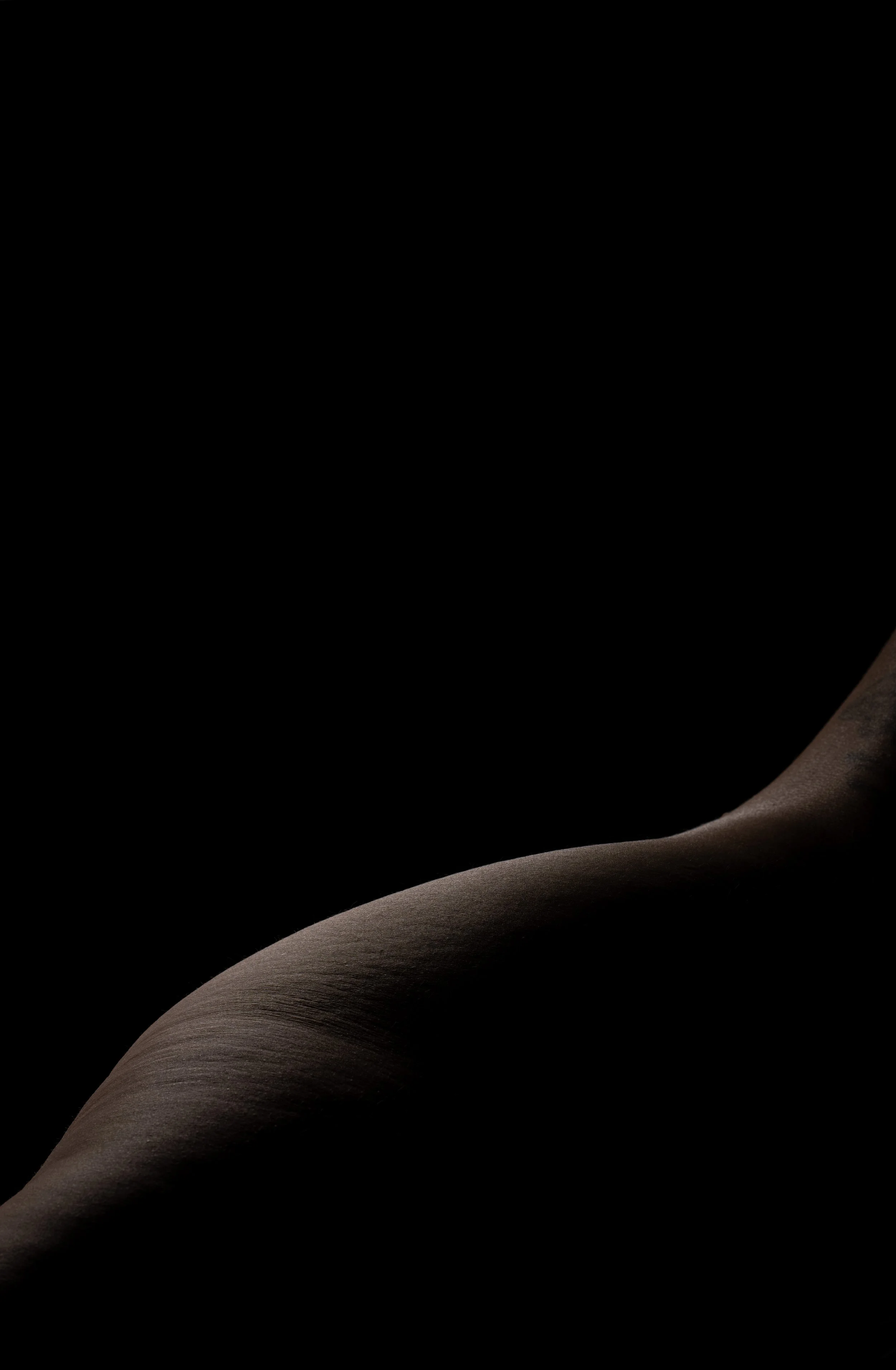 Sculpted in Light
