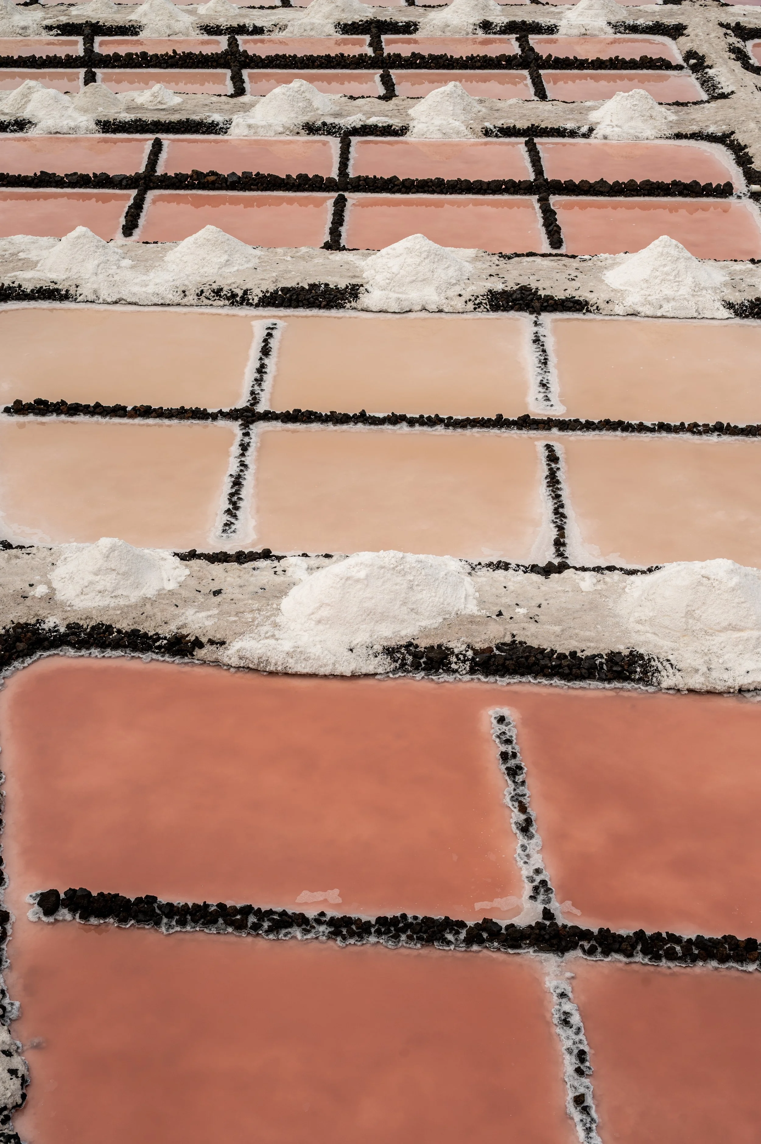 Salt pans on La Palma, pinkage with some salt.
