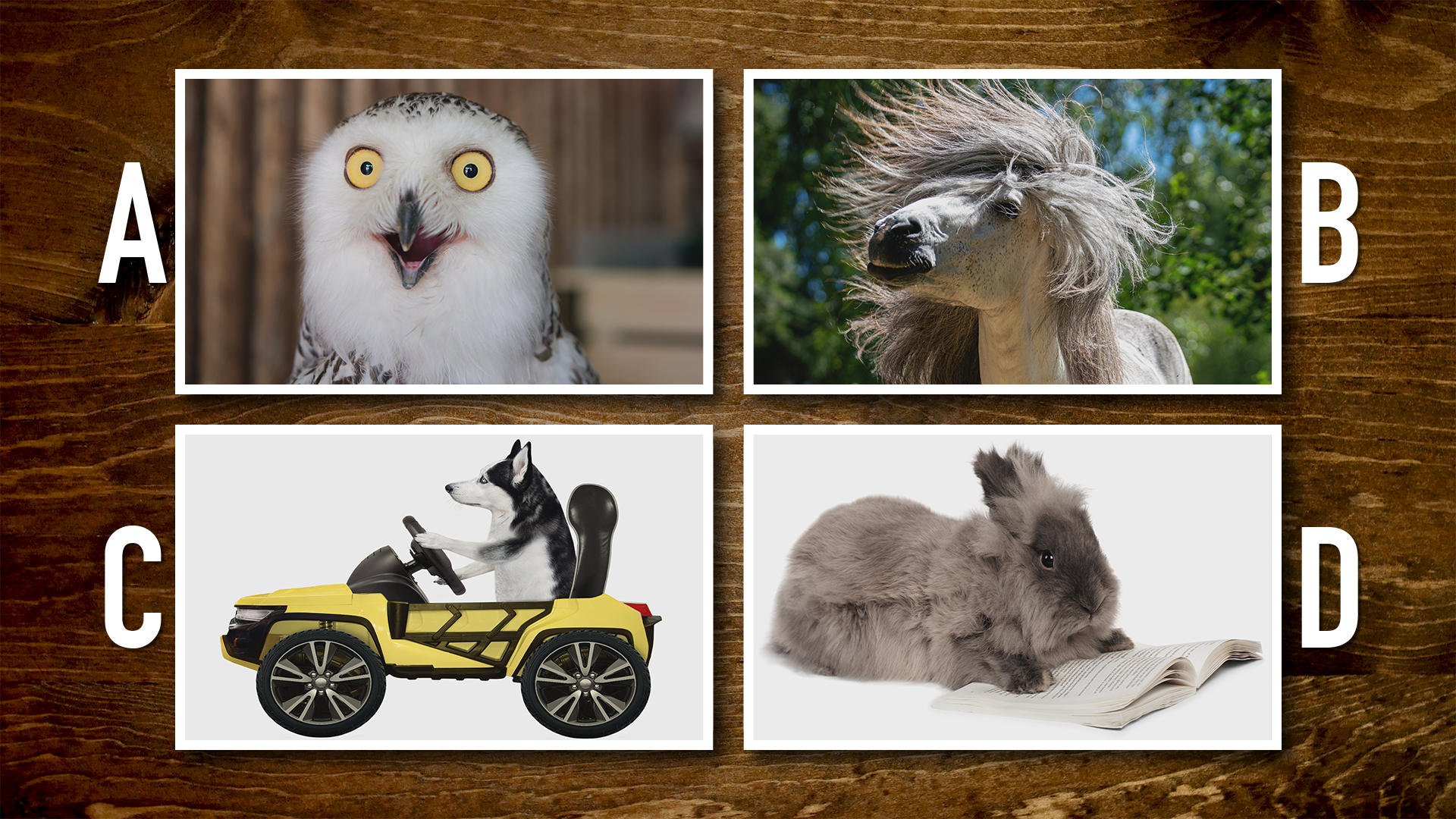 23GMS13_B_Stills_04.png