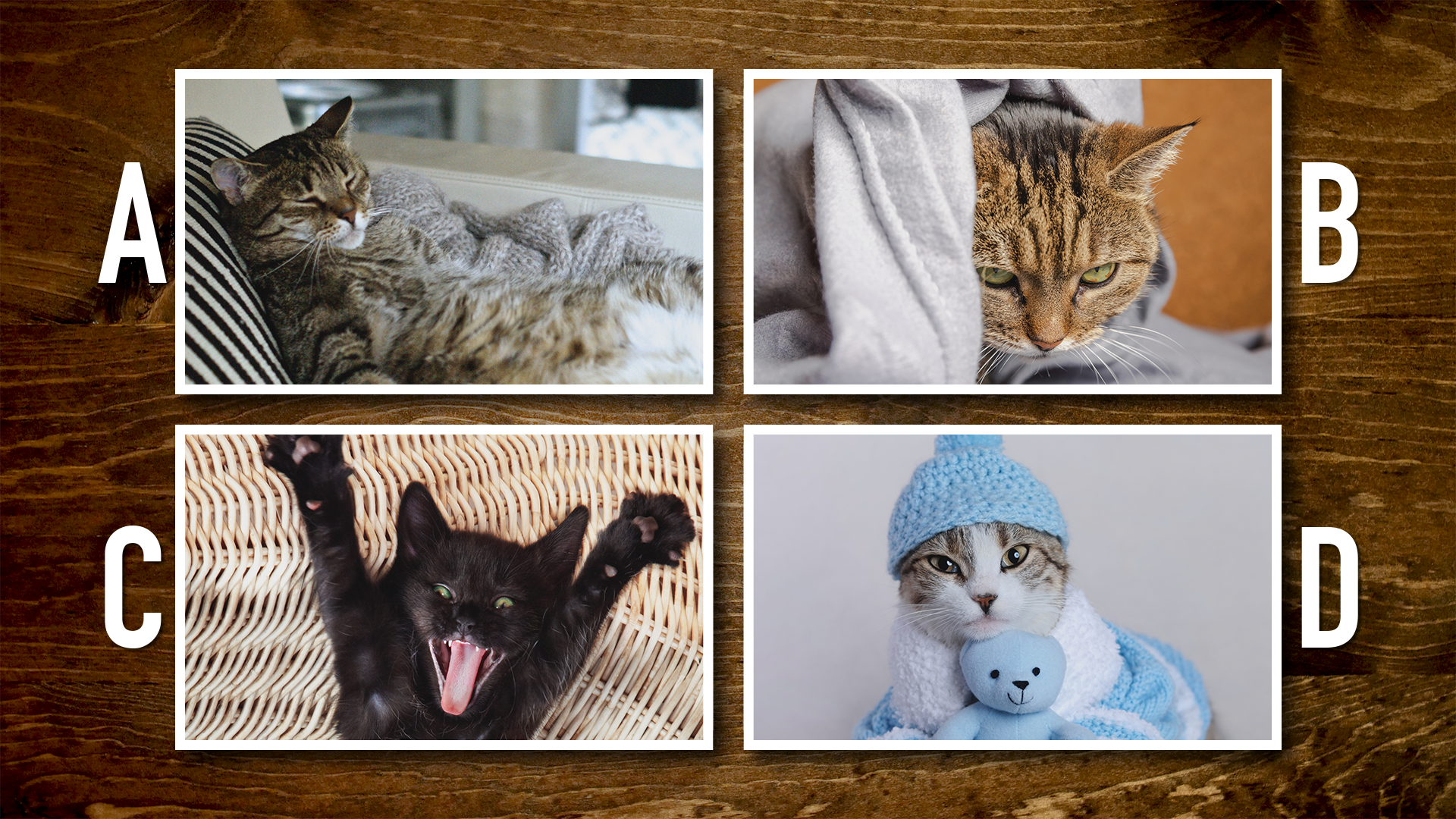 23GMS13_B_Stills_02.png