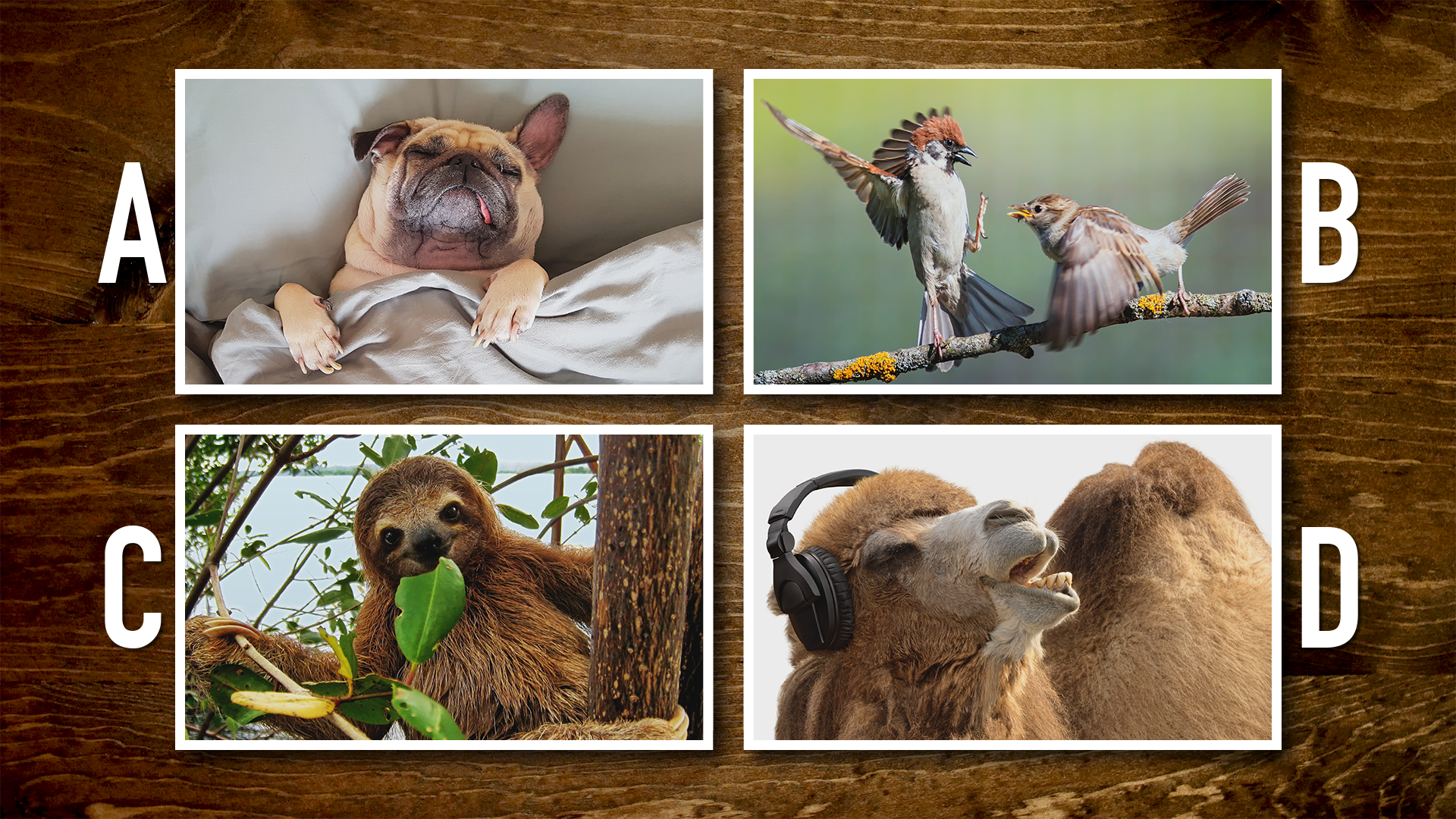 23GMS13_B_Stills_05.png