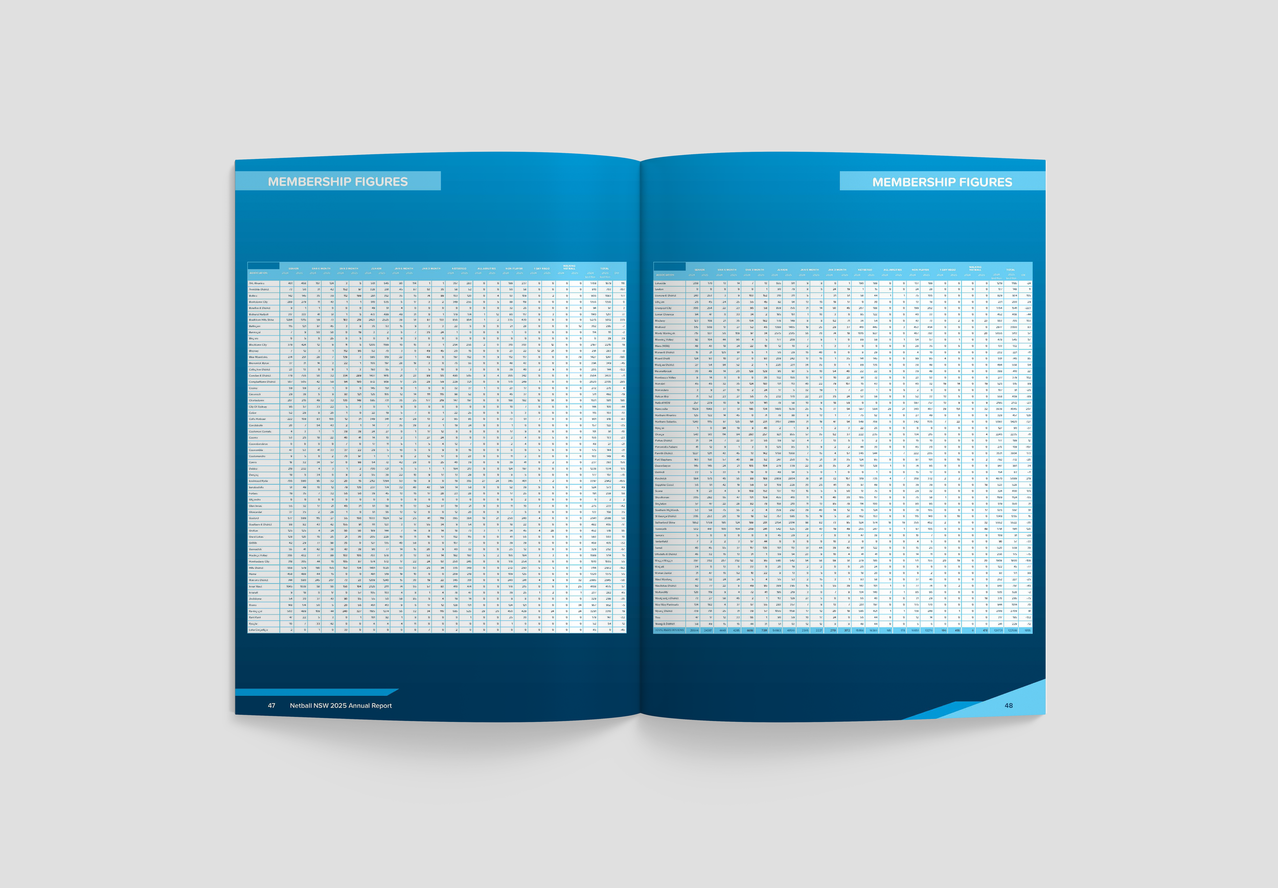 Annual Report 3.png