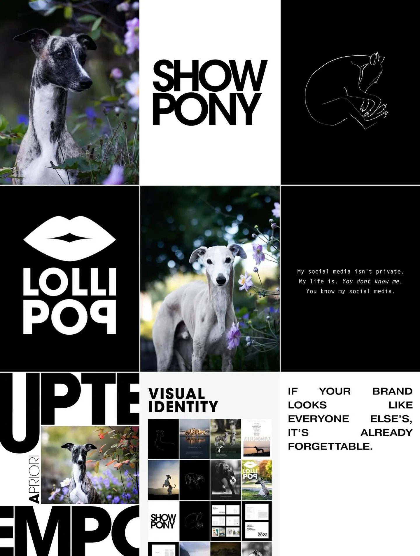 My life / my eyes 🖤