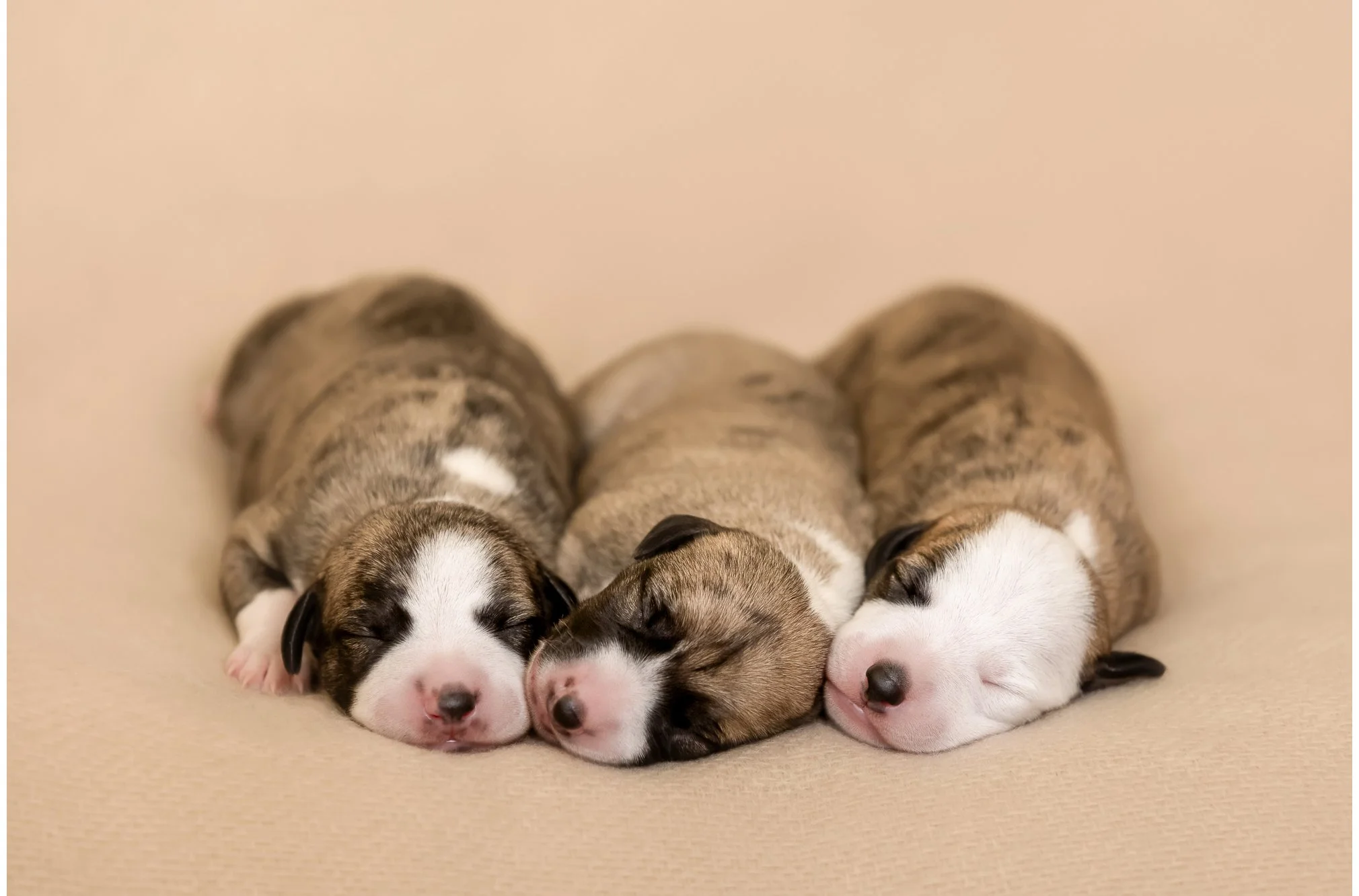 H14A8689-Bearbeitet Kopie.jpg