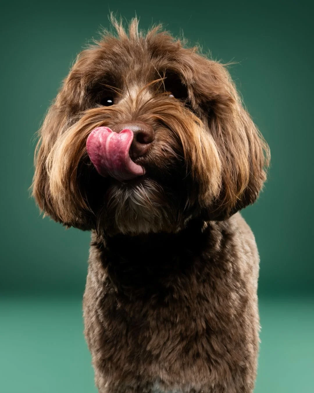 Of Lou het hier h&eacute;&eacute;rlijk vond? Swipe to see zijn happy face, en zijn favoriete speelgoed, dat ook. 🙈  Instant een big smile op mijn gezicht als ik terugdenk aan hoe deze vrolijke, ge-weldige doodle zich hier amuseerde. De show stelen? 