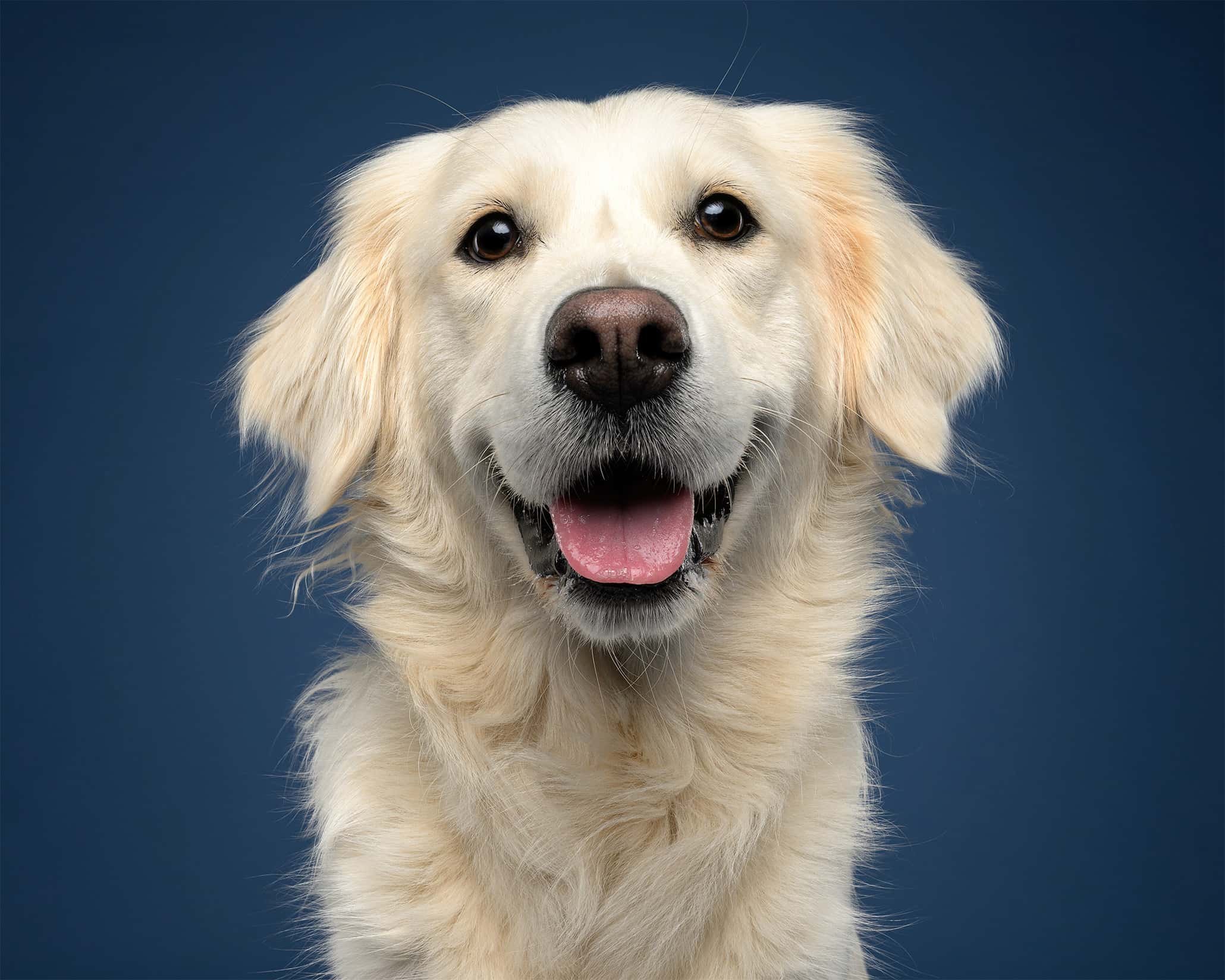 Rozaaaaasmile.jpg