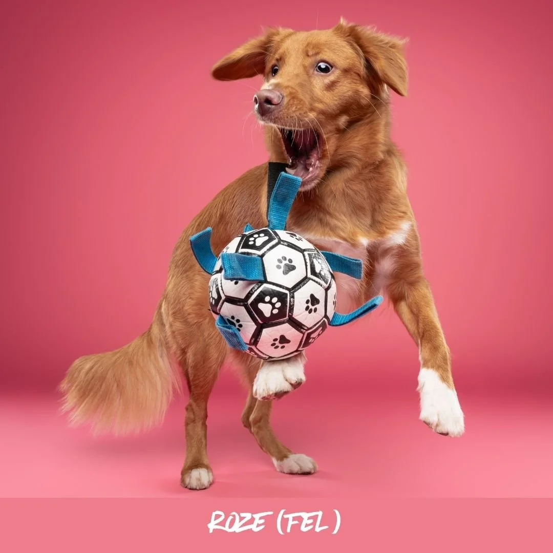felroze@studioohmydog.jpg