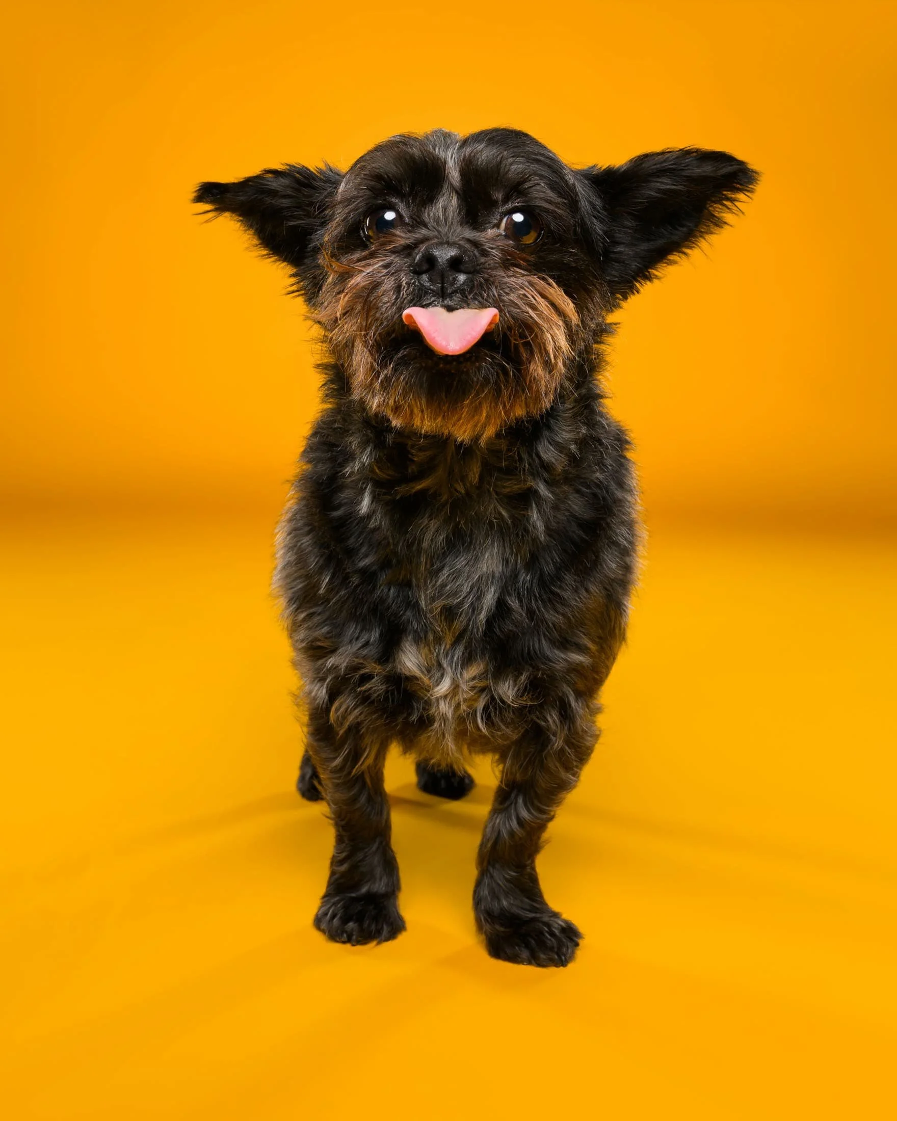 billy-5.jpg