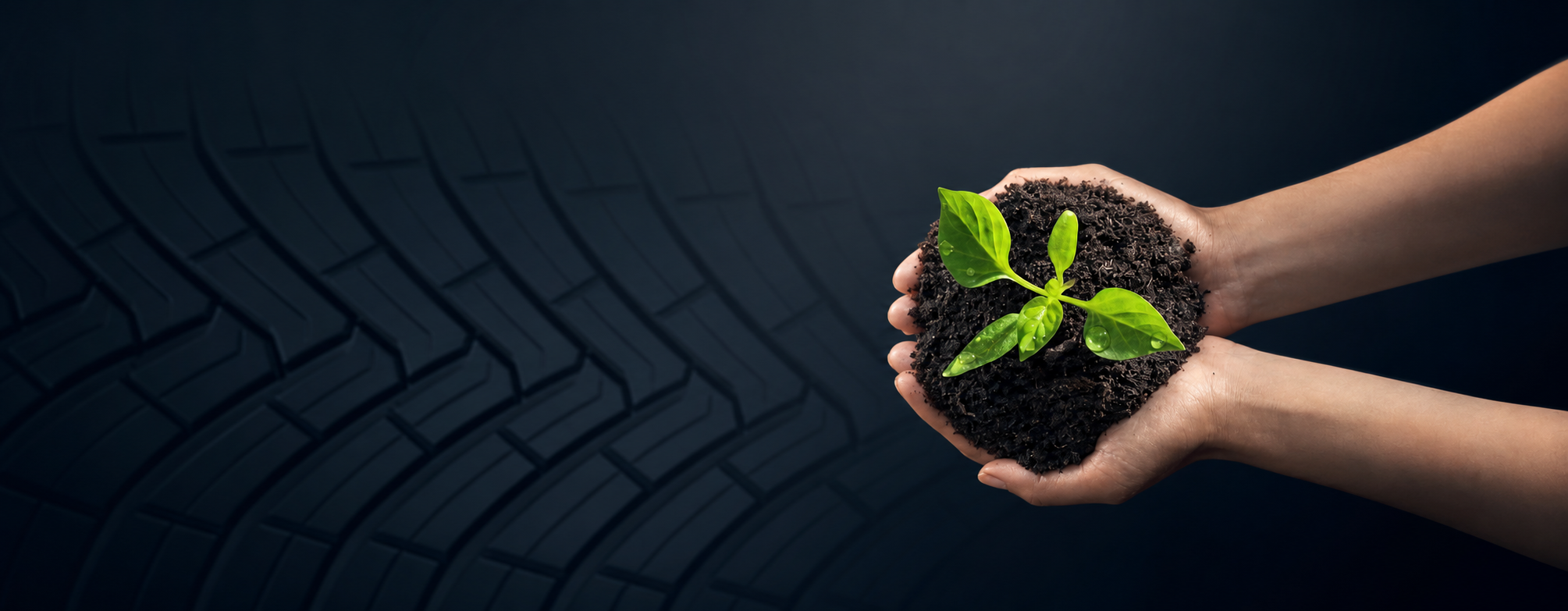 Hands holding soil with a small green plant and water droplets, symbolizing growth and environmental care.