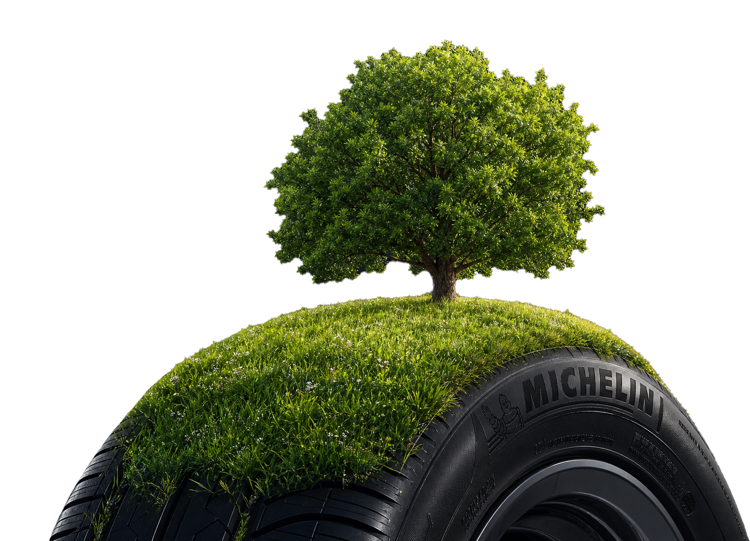 A digital illustration showing a car tire with a grassy landscape and a small tree growing on top of it, symbolizing eco-friendly transportation.