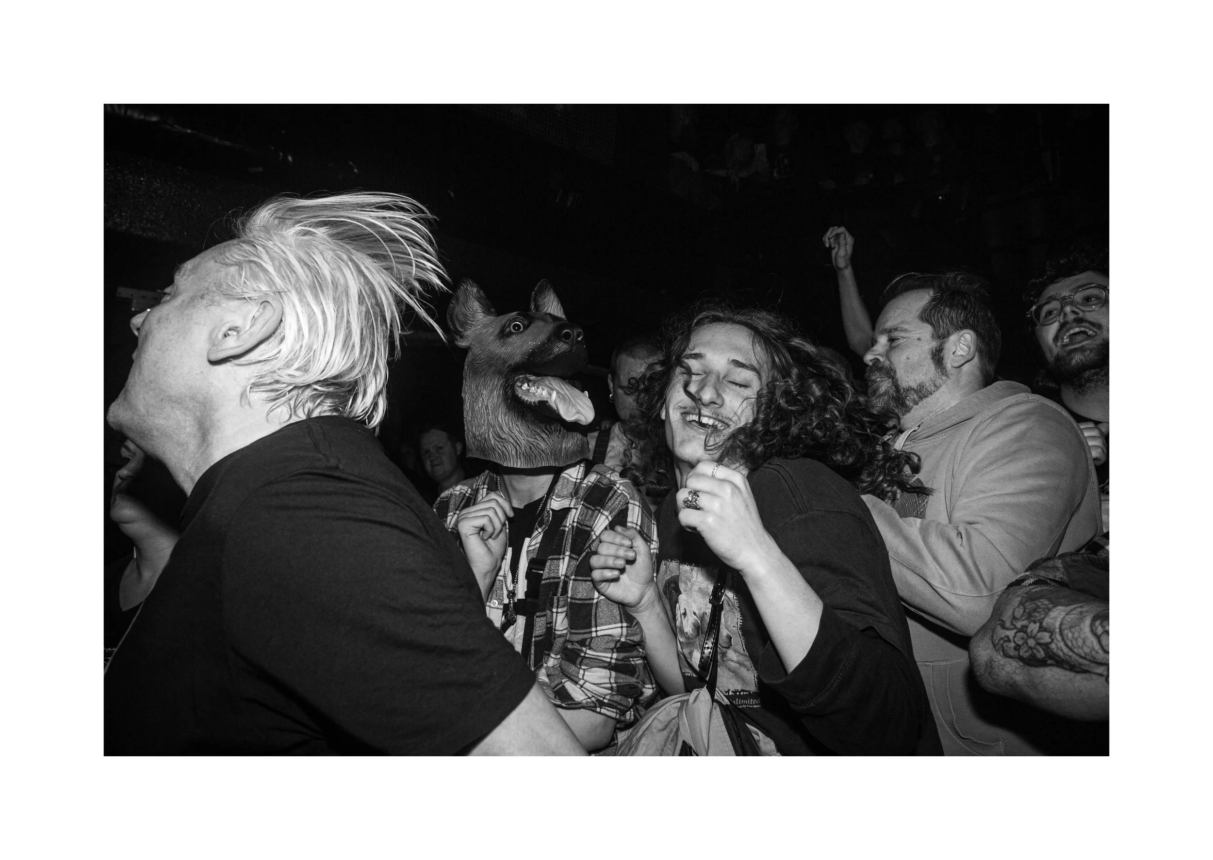 Fat Dog Mosh