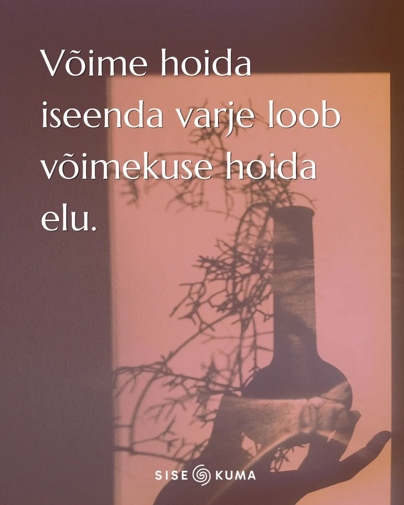 Me k&otilde;igi sees elavad osad, mida on raske n&auml;ha, vastu v&otilde;tta ja hoida.

Elu jooksul &otilde;pime neid eirama ja kiivalt varjama. 

Seel&auml;bi &otilde;pime paraku ka iseennast alla suruma ning endast eemalduma. 

Tervenemise teekond