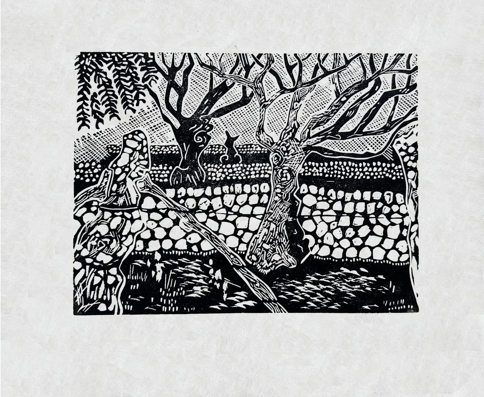 Oliveres