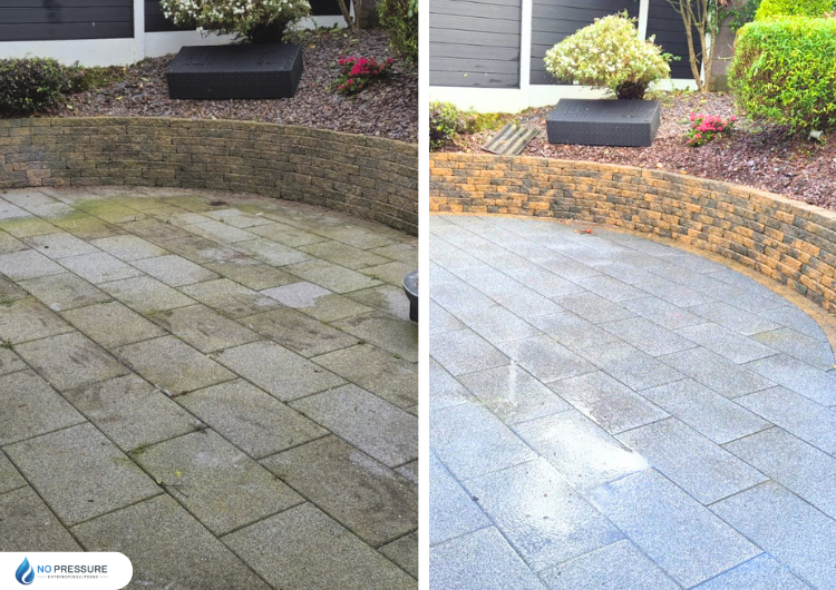 Moss and Algae Removal