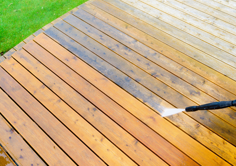 Render Cleaning Cork: What Happens When Algae and Moisture Are Left Untreated
