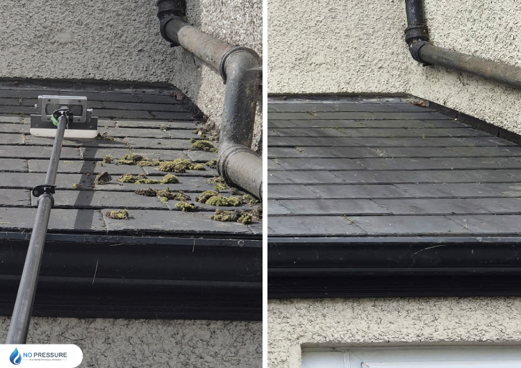 Roof Cleaning