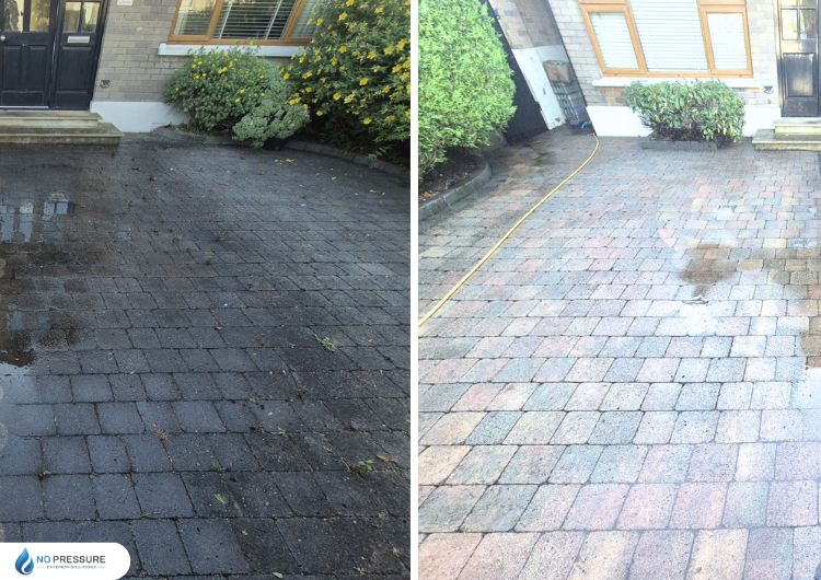 moss-algae-treatment-services-cork.png