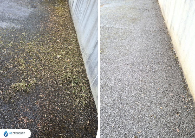 pathway cleaning.png