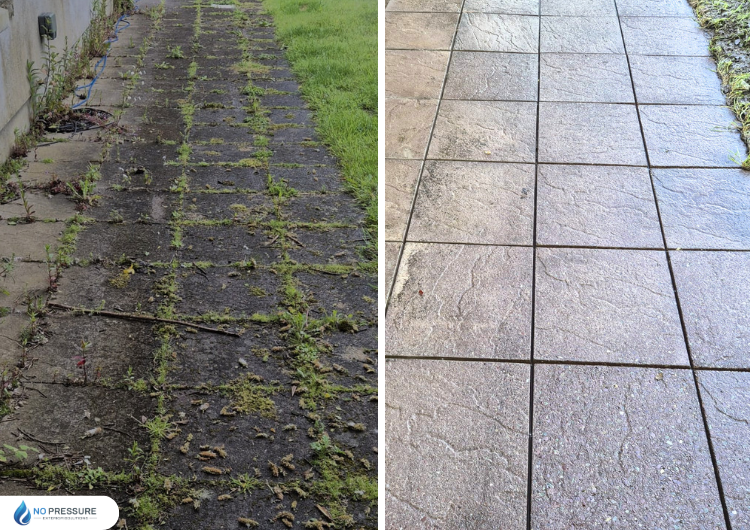 moss-removal-from-concrete-pathways-Cork.png