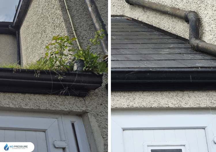 Gutter Cleaning