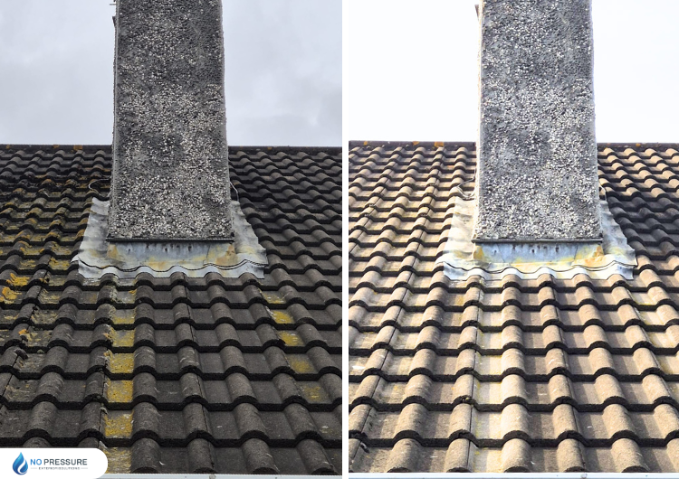 professional-roof-cleaning-Cork.png