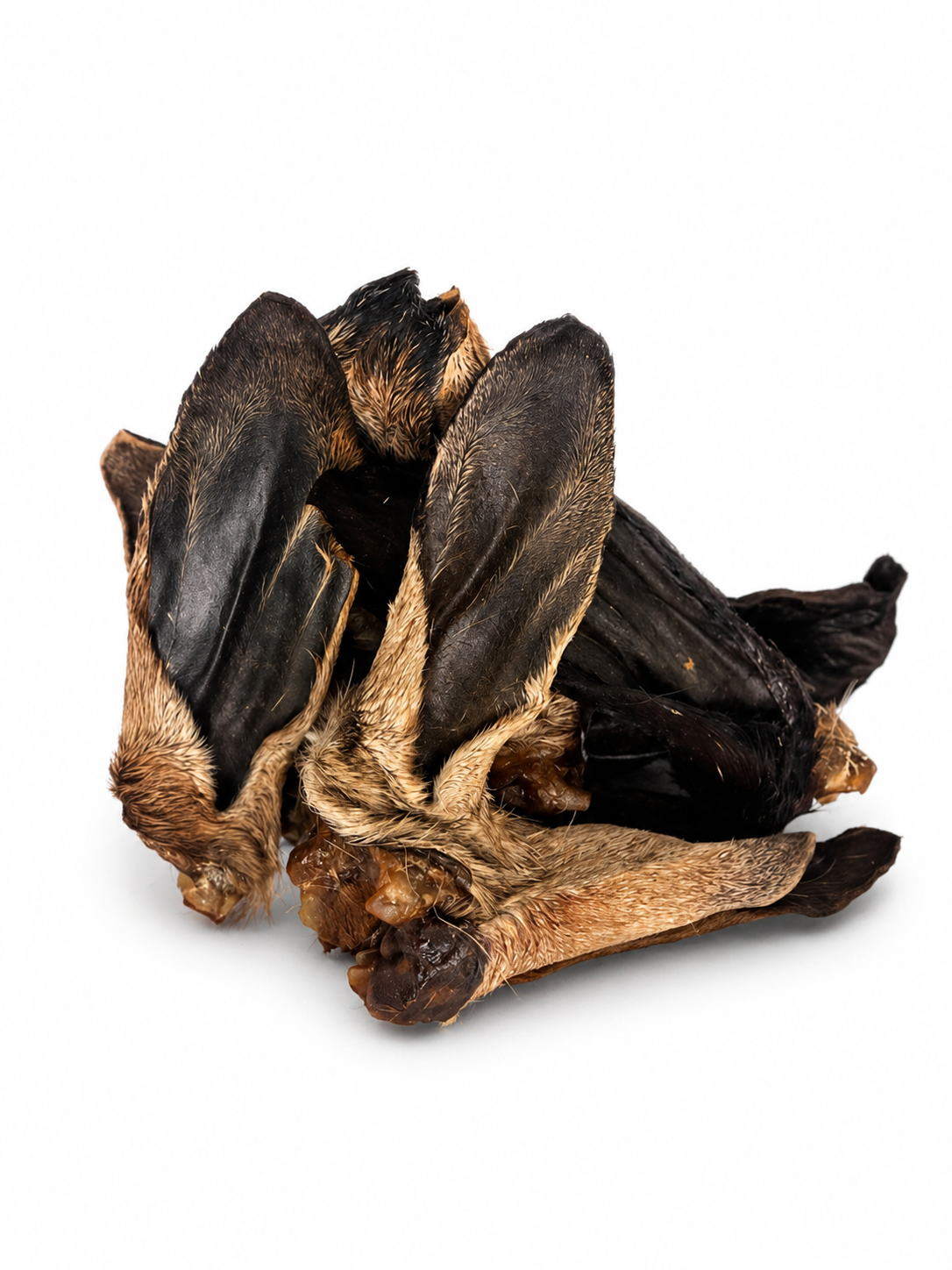 Goat Ears