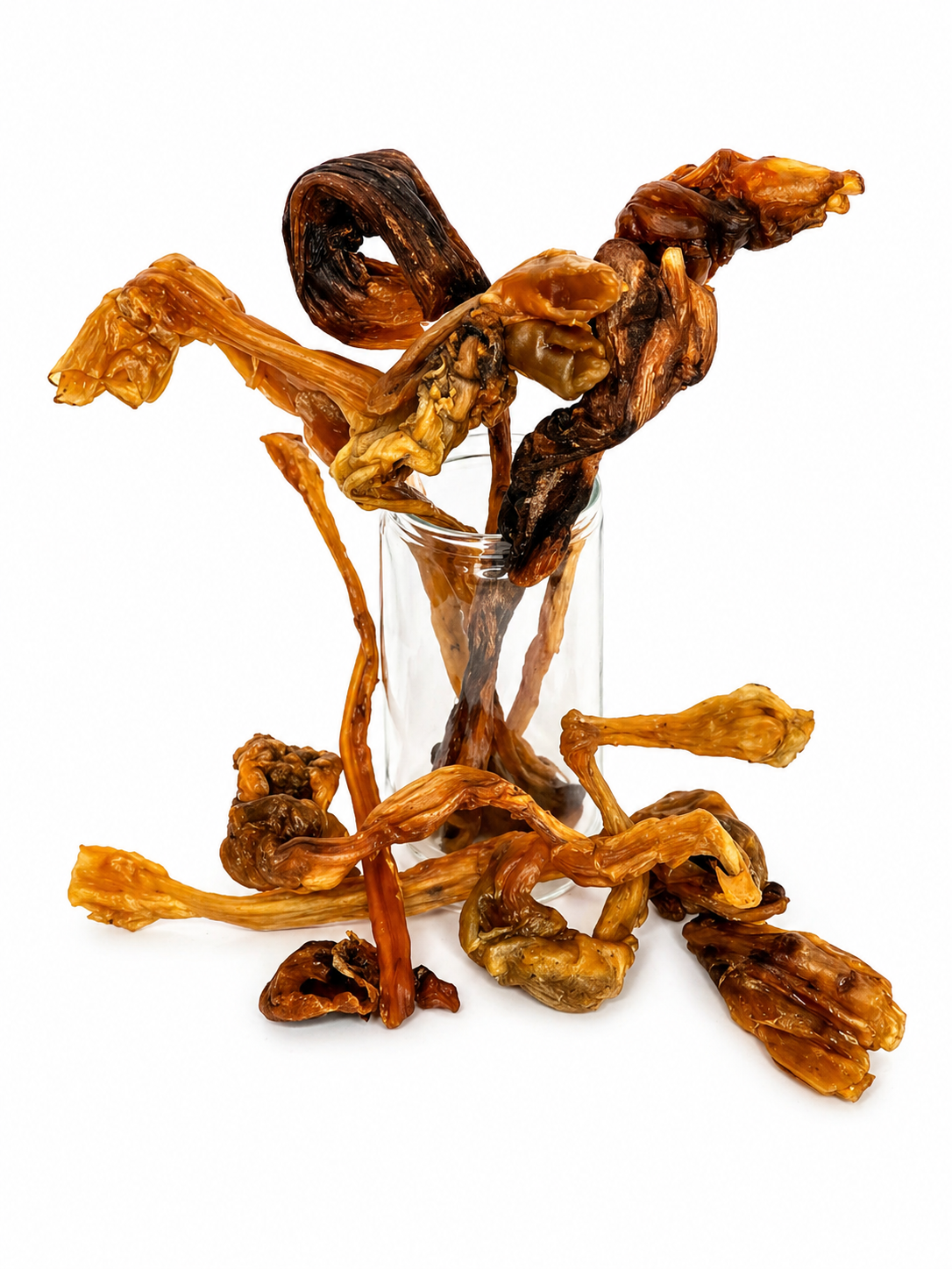 Beef Tendons