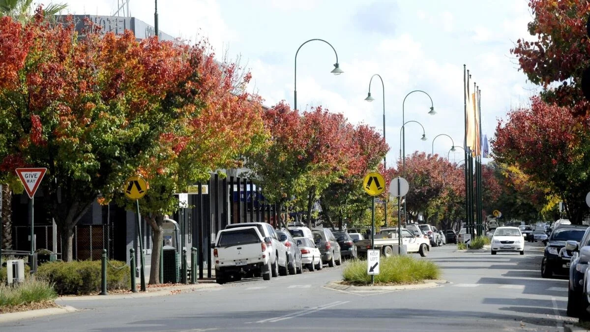 City street scene with colorful fall foliage, parked cars along the curb, street lamps, and signs including a give way and keep left sign.