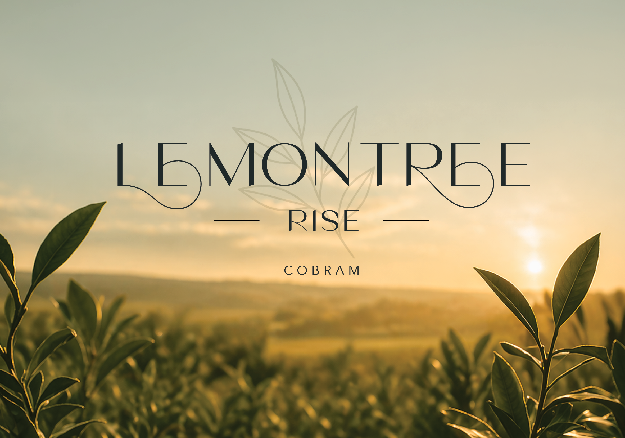 Sunset over a green field with leaves in the foreground, with text '5 Emore Rise Cobram' and a light background.
