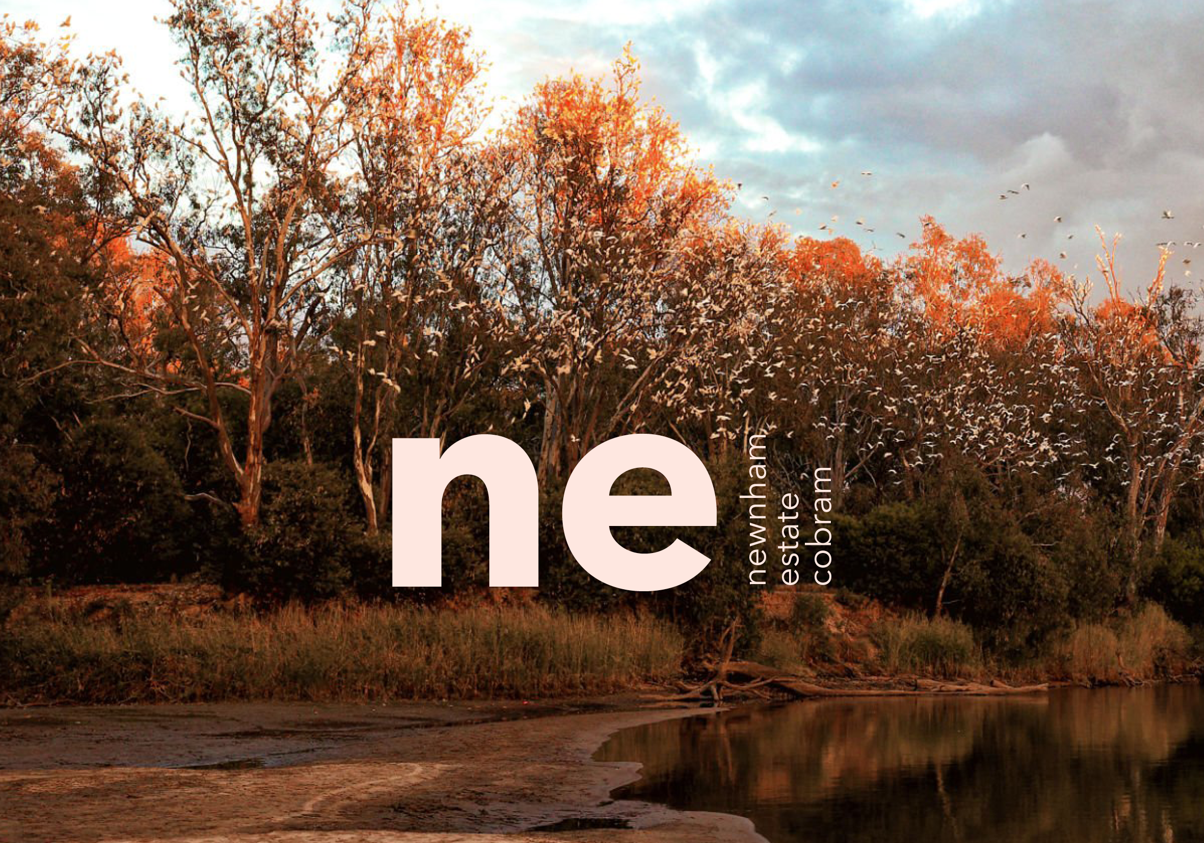 Autumn trees with orange and brown leaves near a body of water, with a cloudy sky in the background.