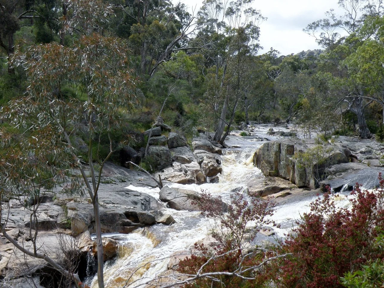 A flowing river with rocks and trees along the bank under a cloudy sky.