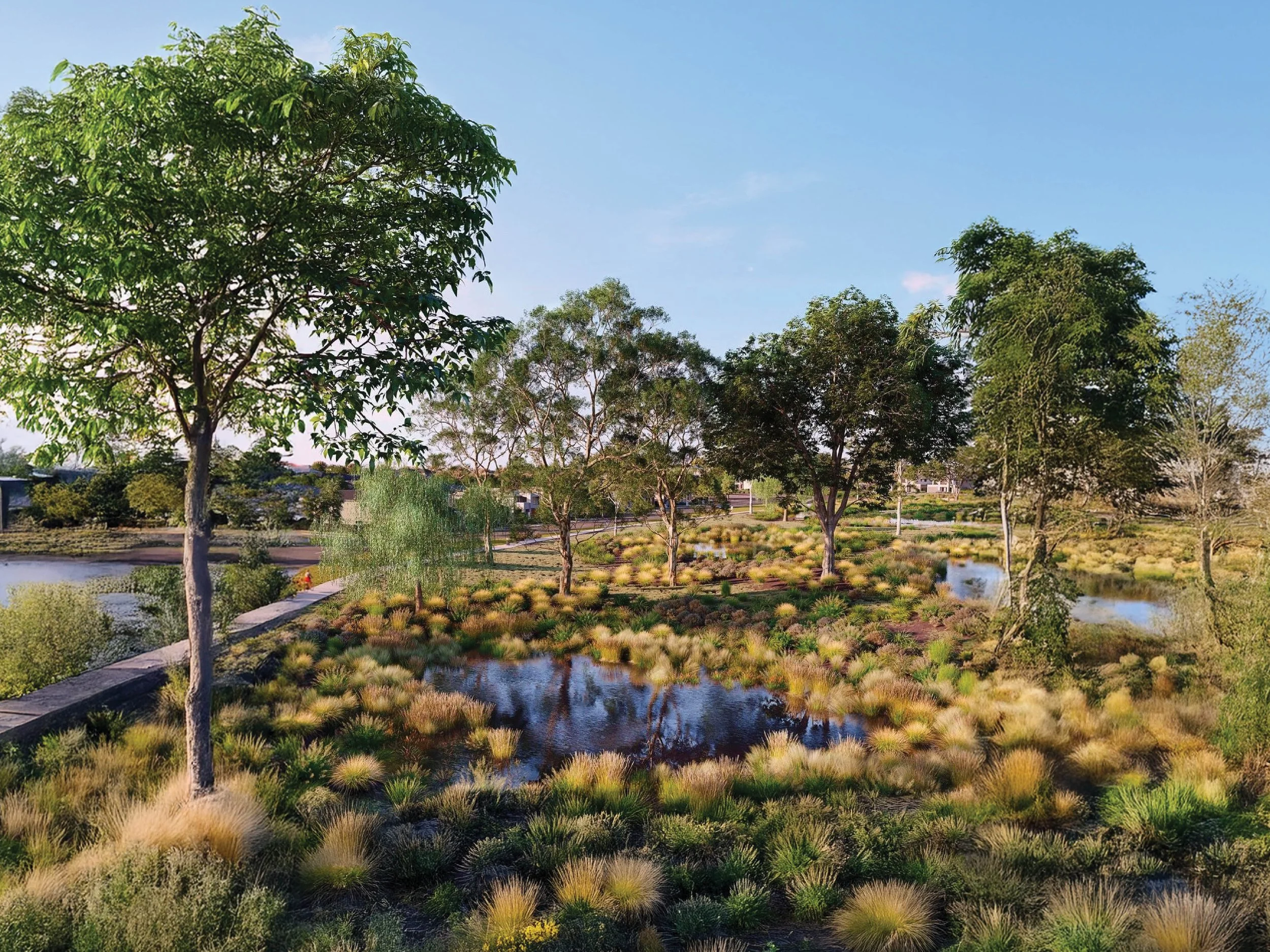 A landscaped park with a pond, surrounded by lush green trees, grass, and bushes, under a bright blue sky.