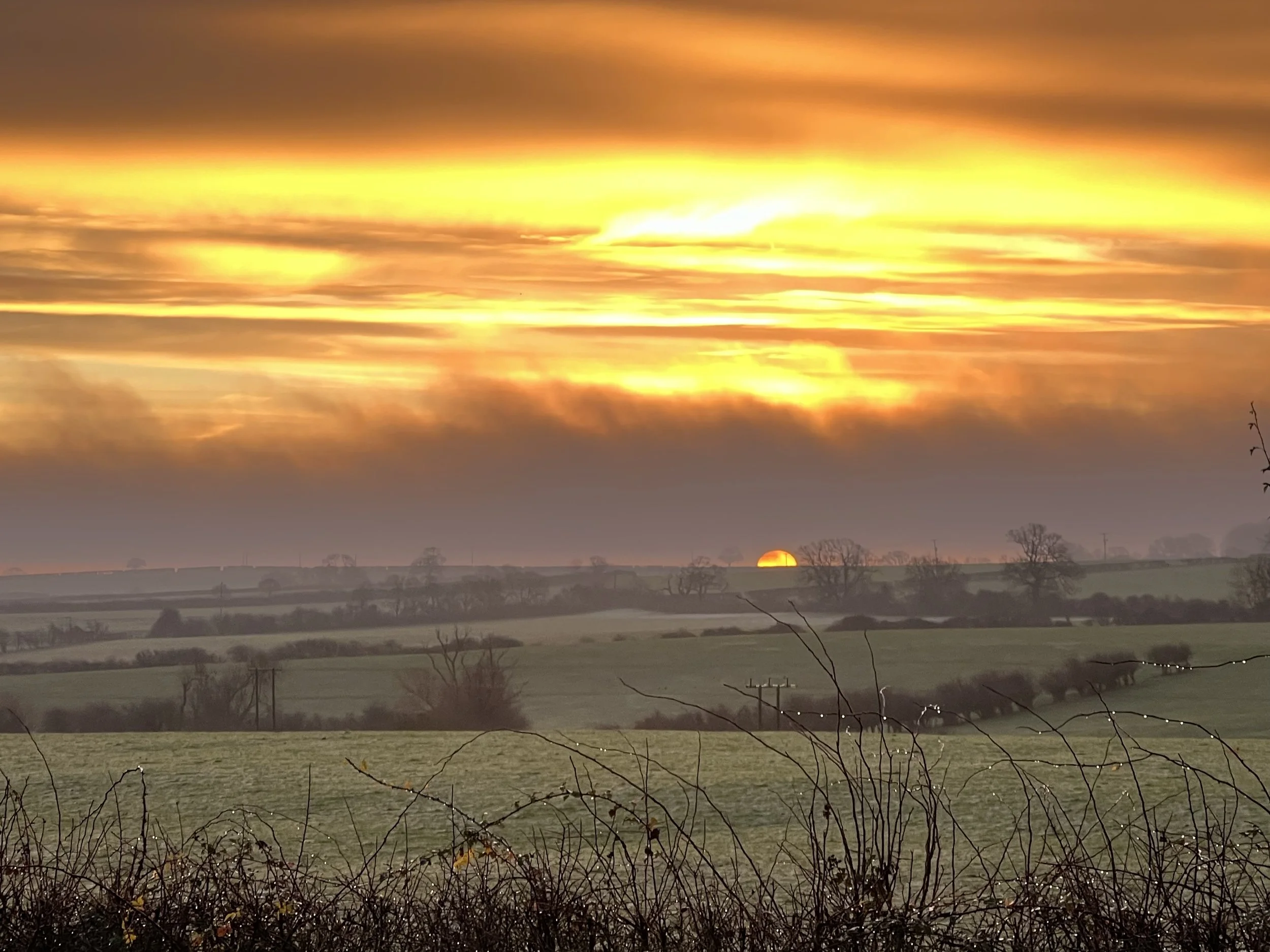 Six: What John Clare Found in the Fields