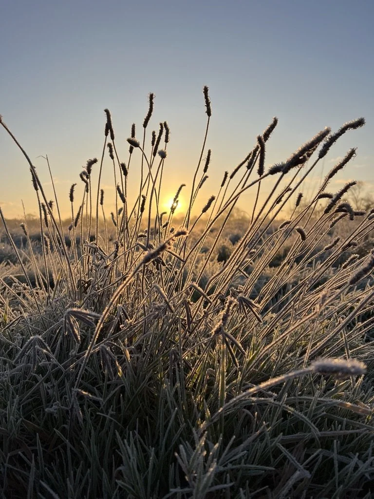 The Sunday Gathering