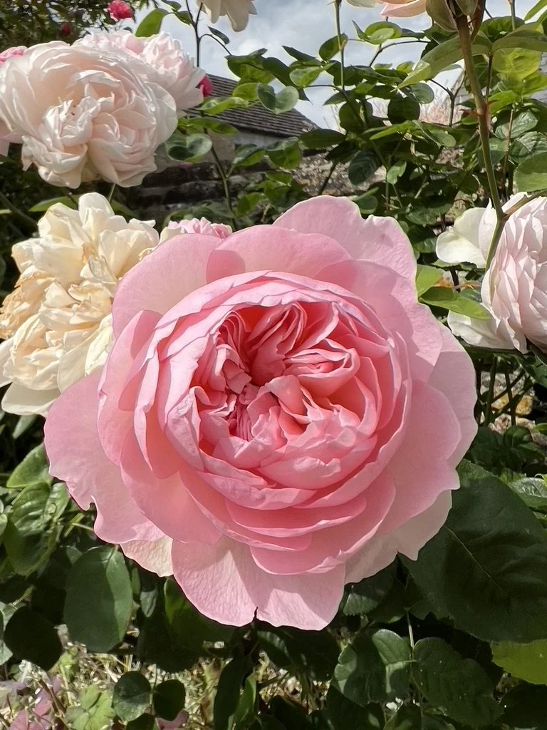 WHEN YOUR BIRTH STORY HURTS