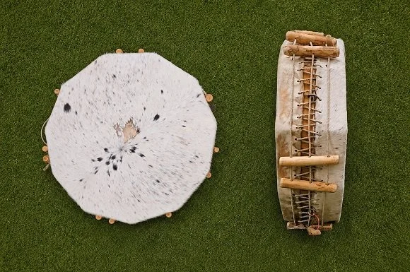 A traditional Native American drum and a cowhide drum head resting on a green surface.
