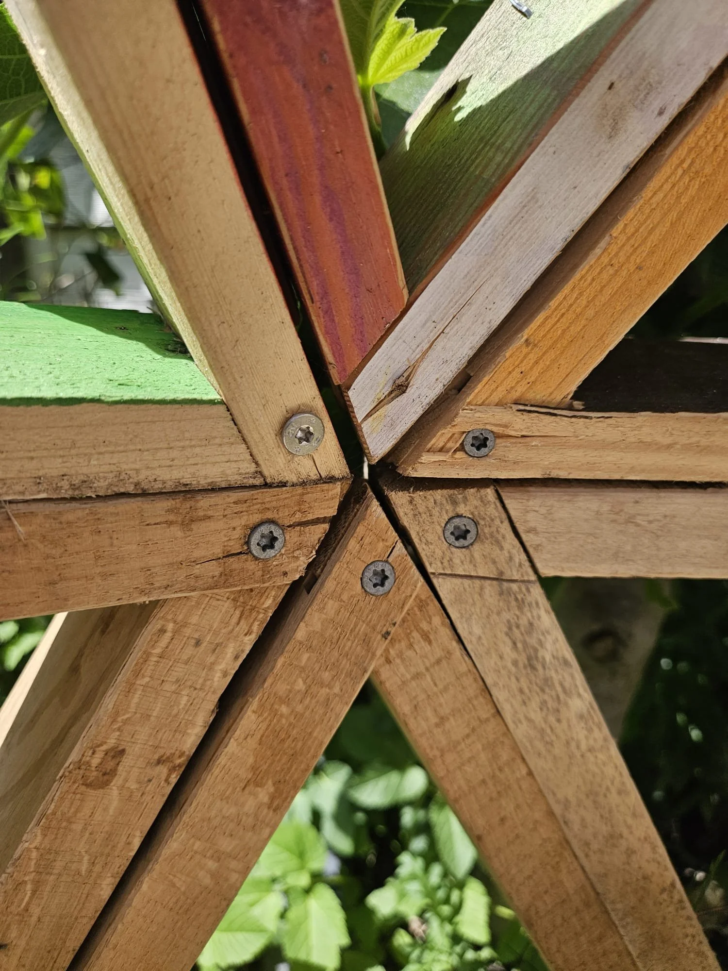 Close-up van een houten structuur vastgezet met schroeven, met groene bladeren en plantendelen op de achtergrond.