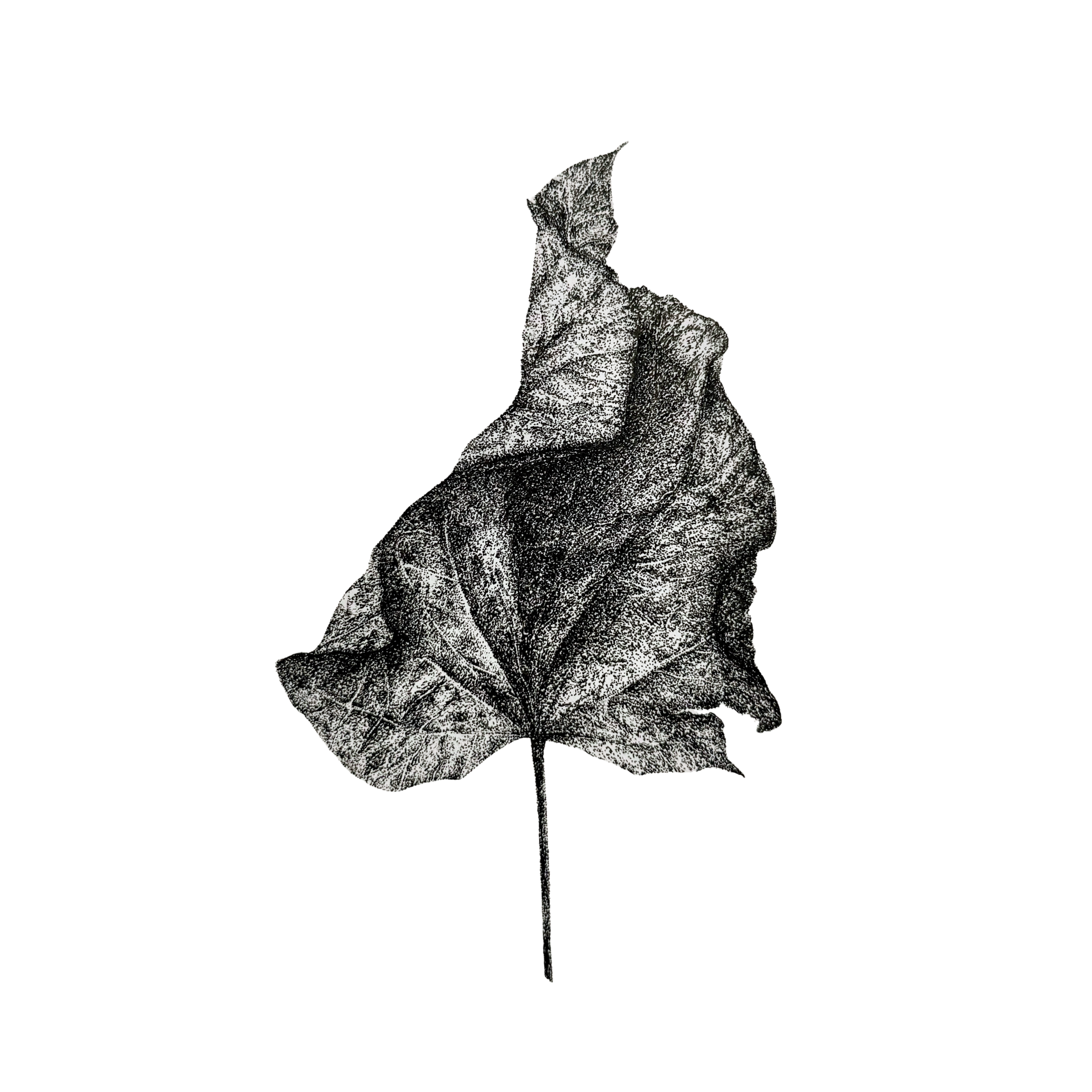 Fold I