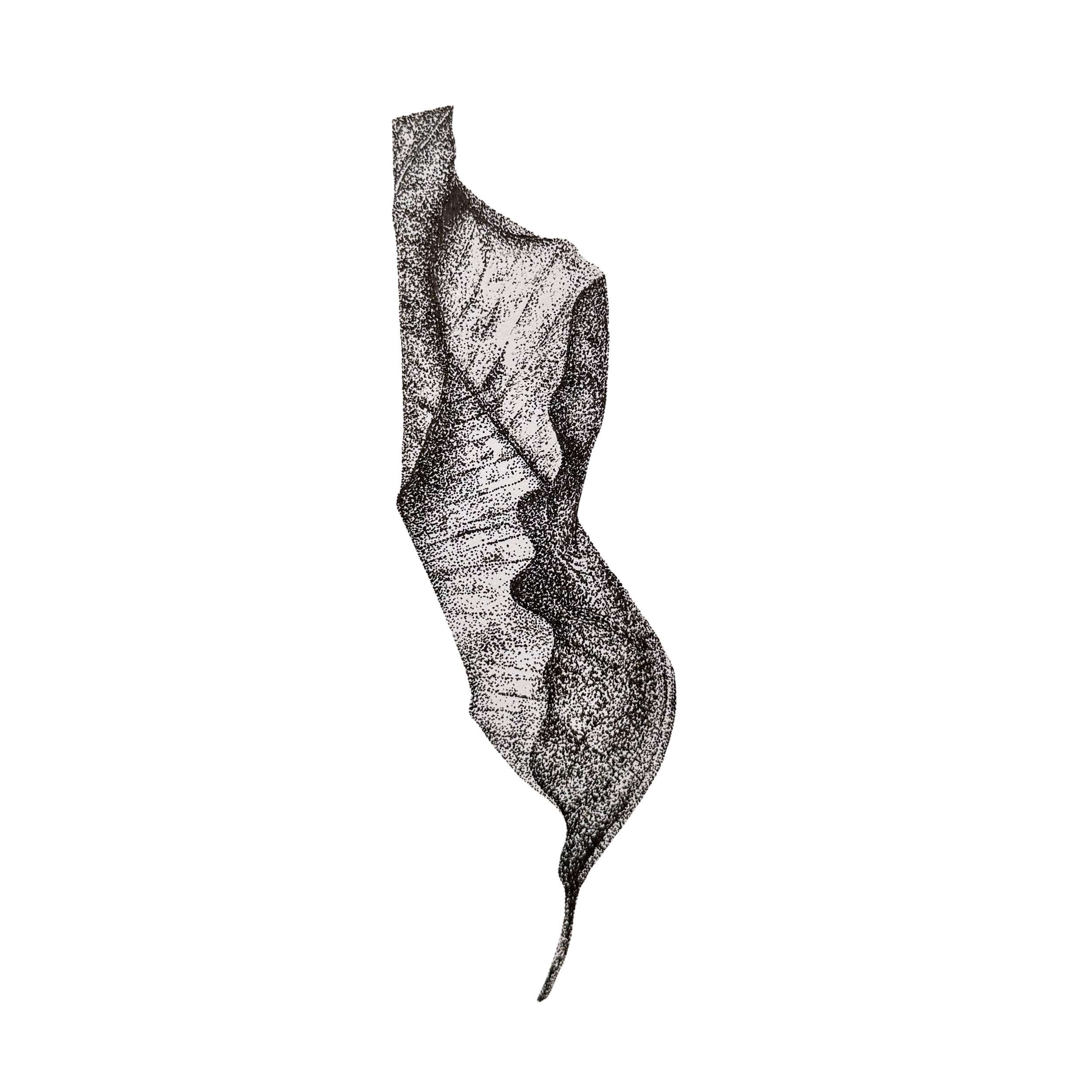 Fold II