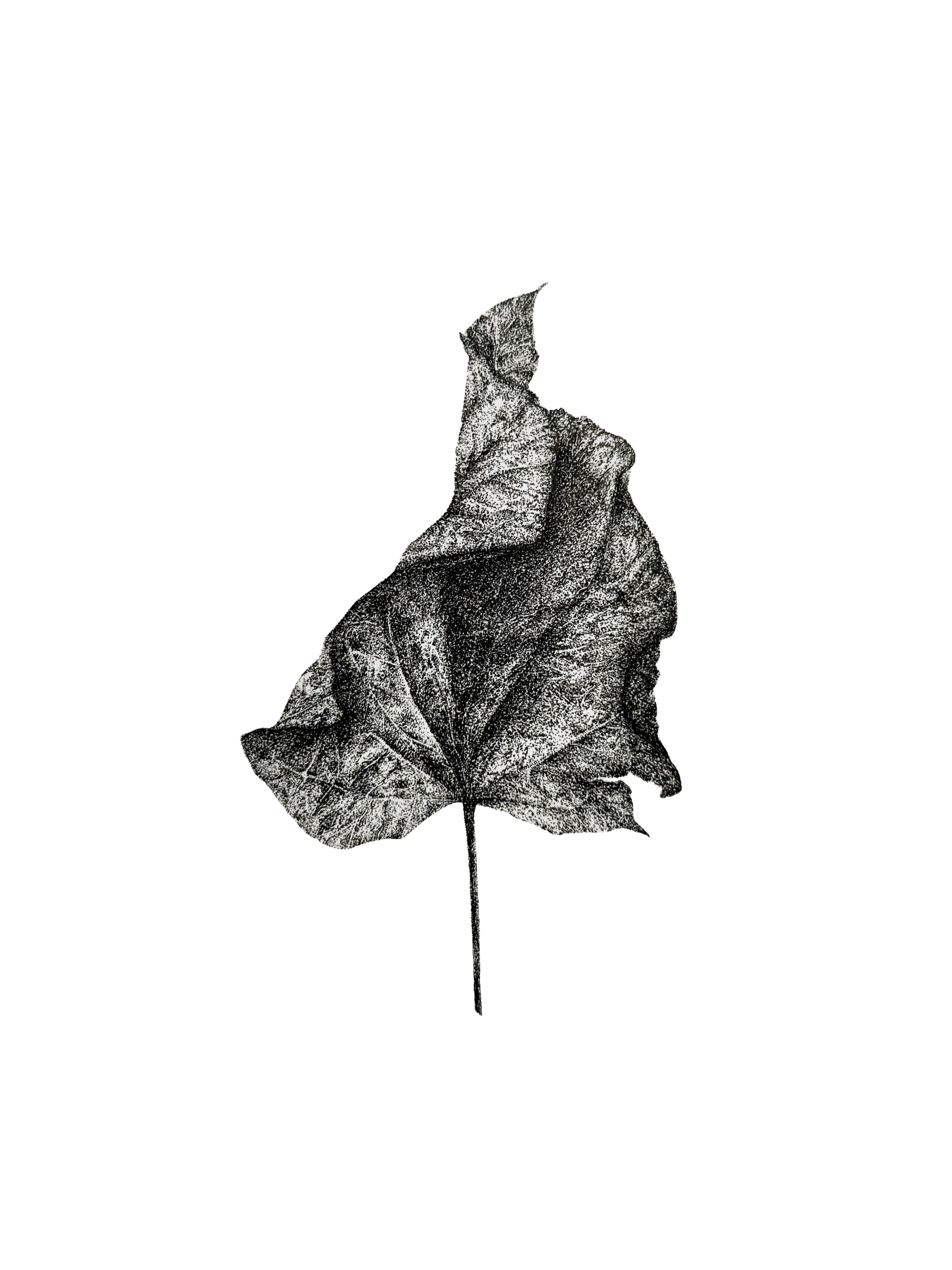 Fold I