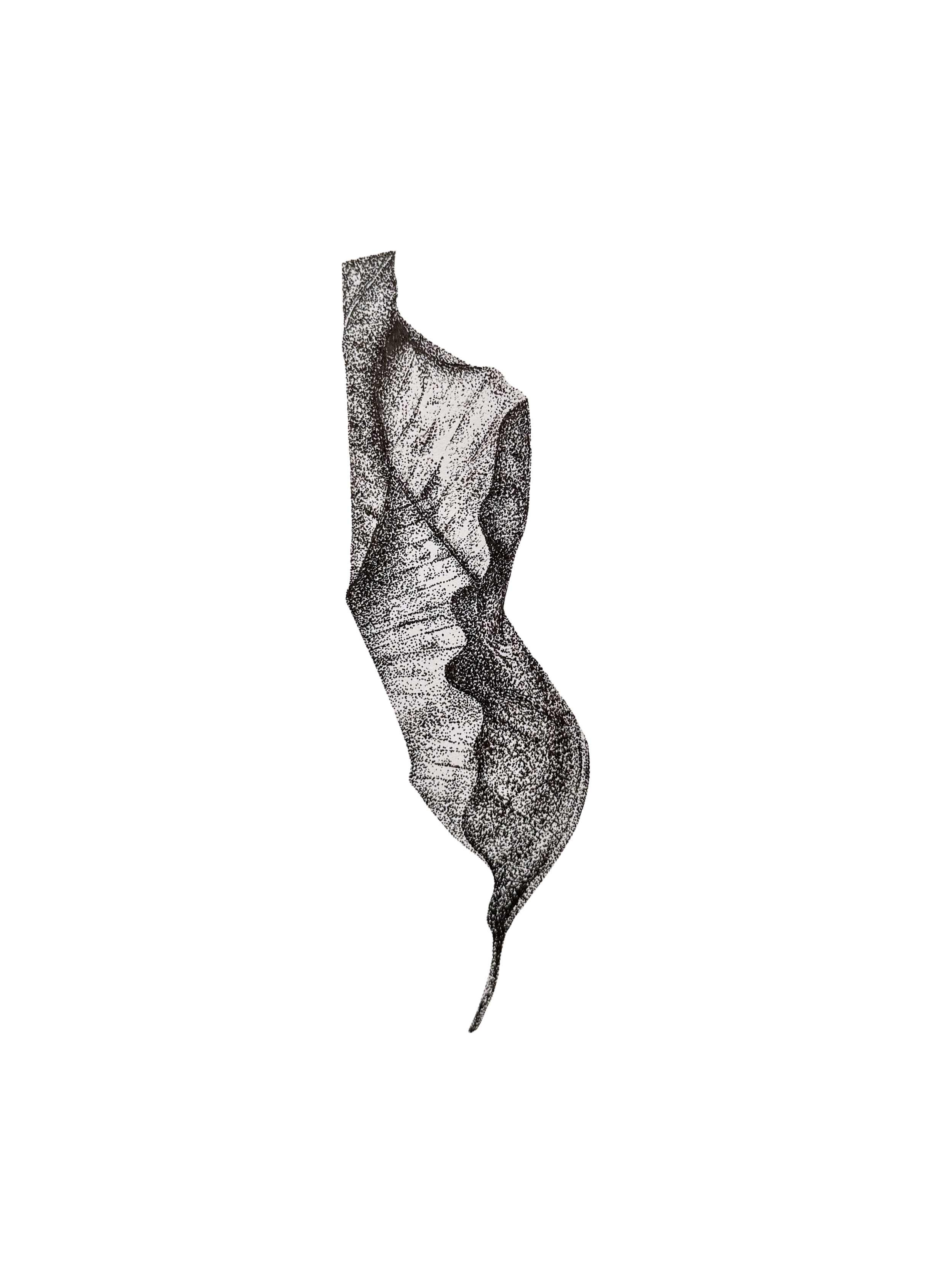 Fold II