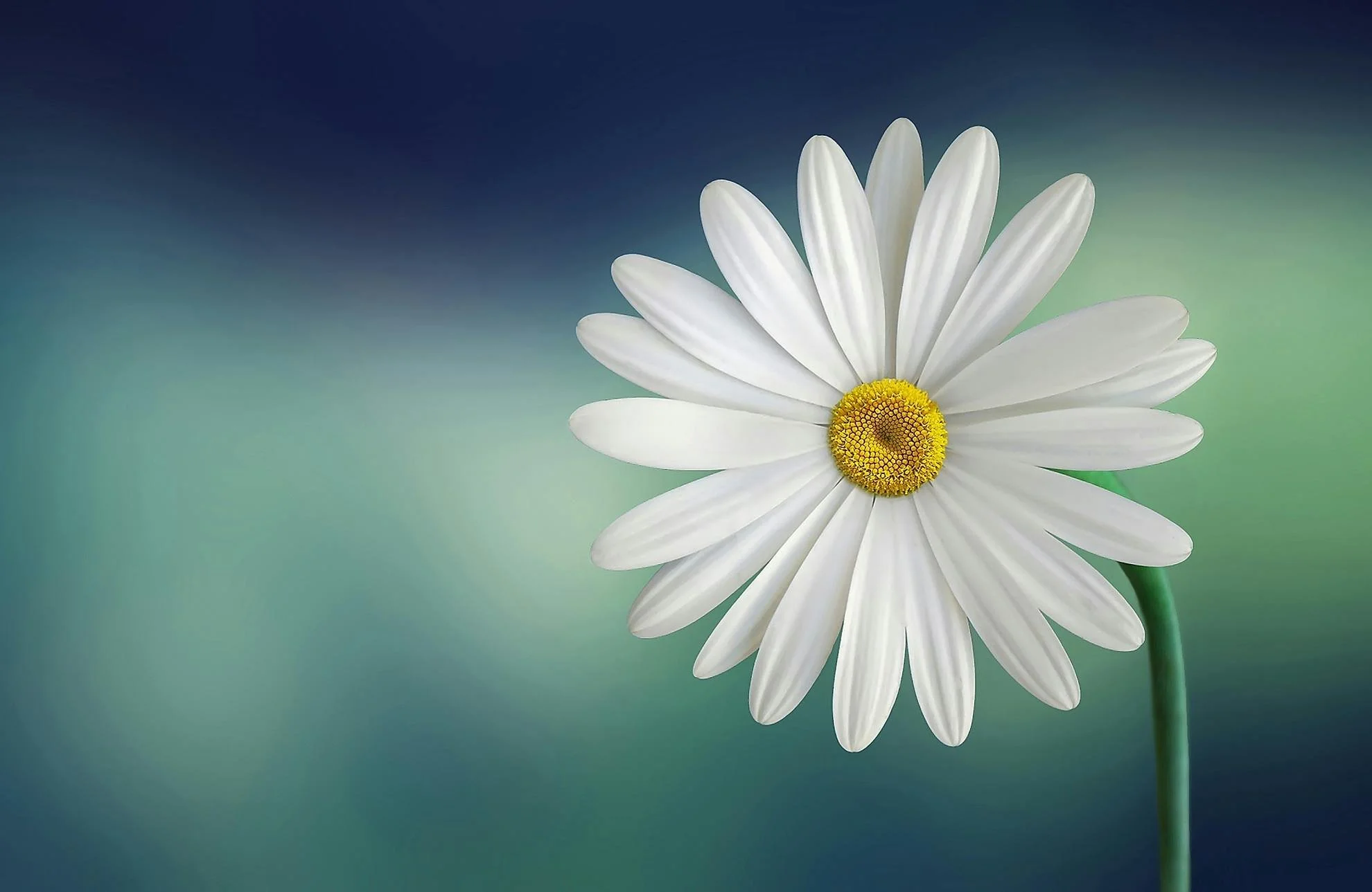 Clarity Coaching