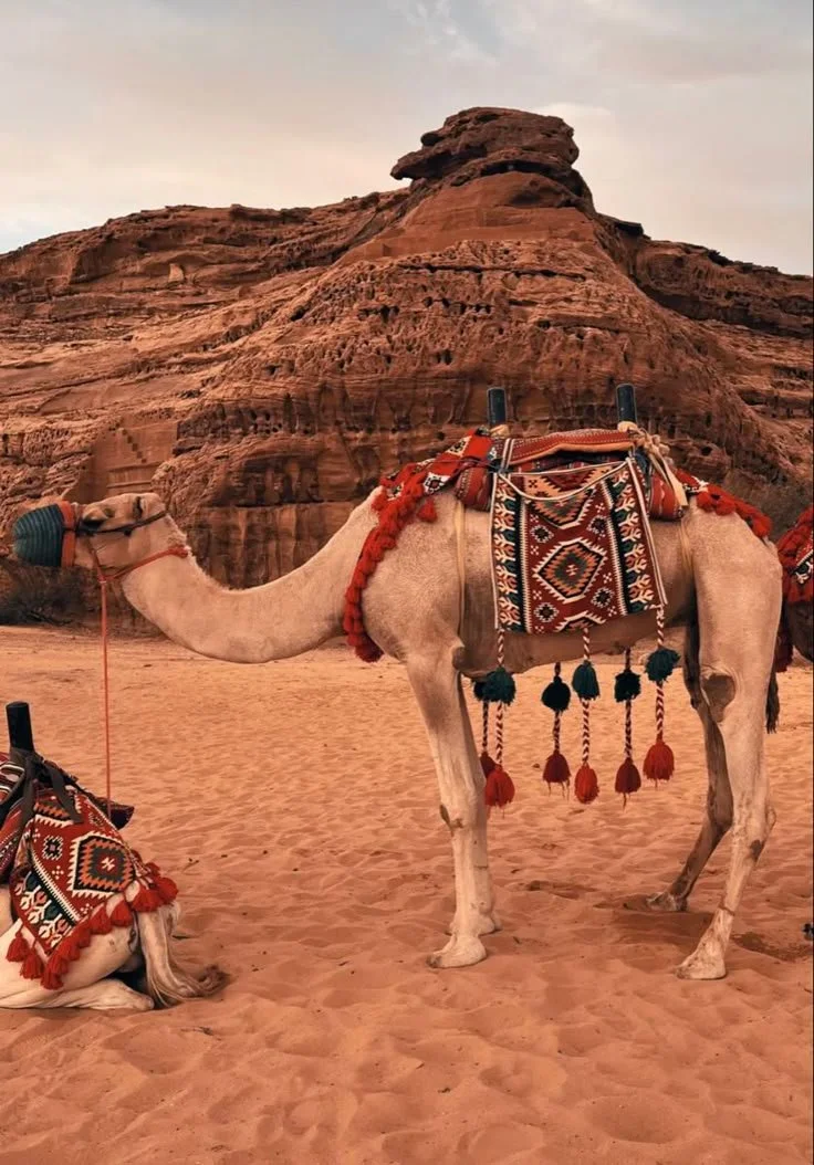 Al Ula, Saudi Arabia.jpeg