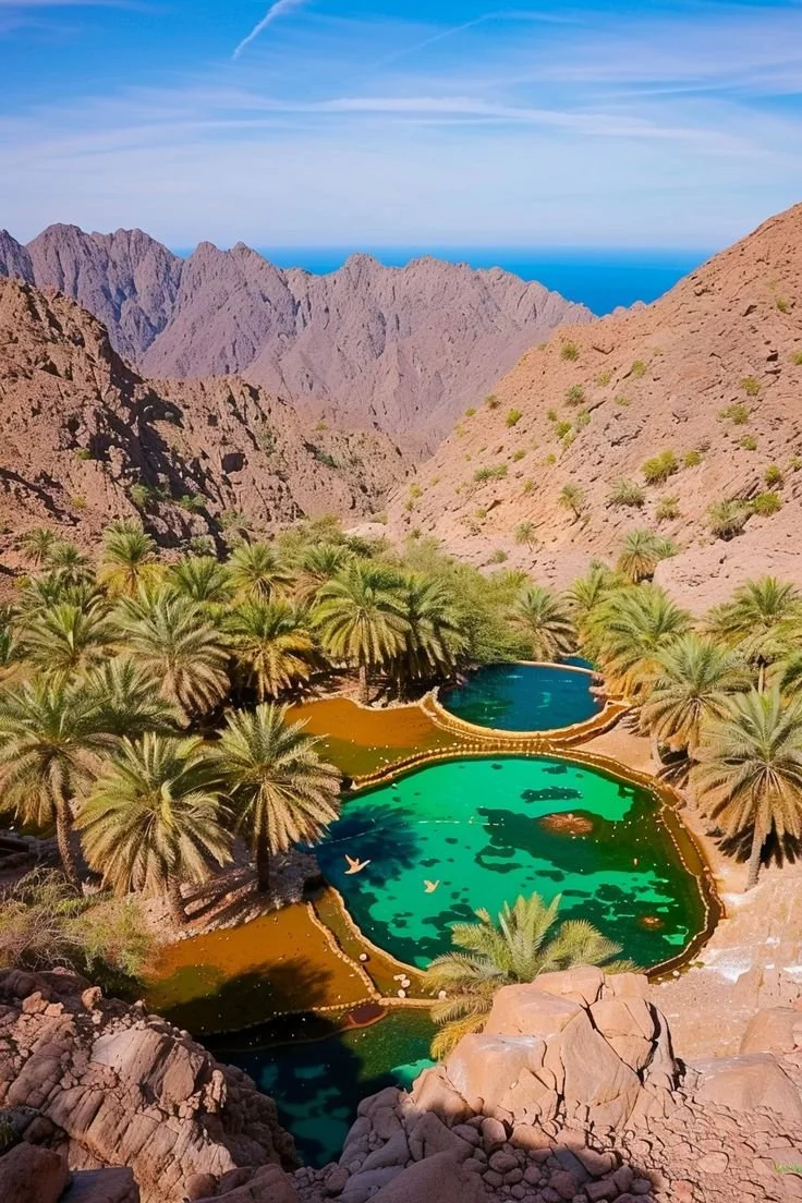 WATERFRONT PARADISE IN OMAN : THE RISE OF LUXURY LIVING AT LUBANAH ISLAND