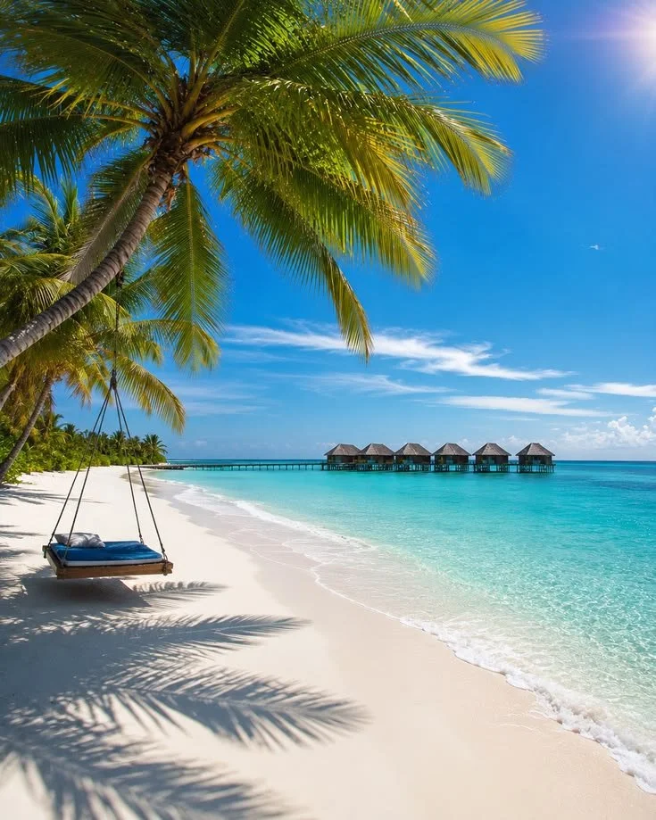 White sand, the sound of the ocean, and palm trees under the bright sun 🌴☀️.jpg