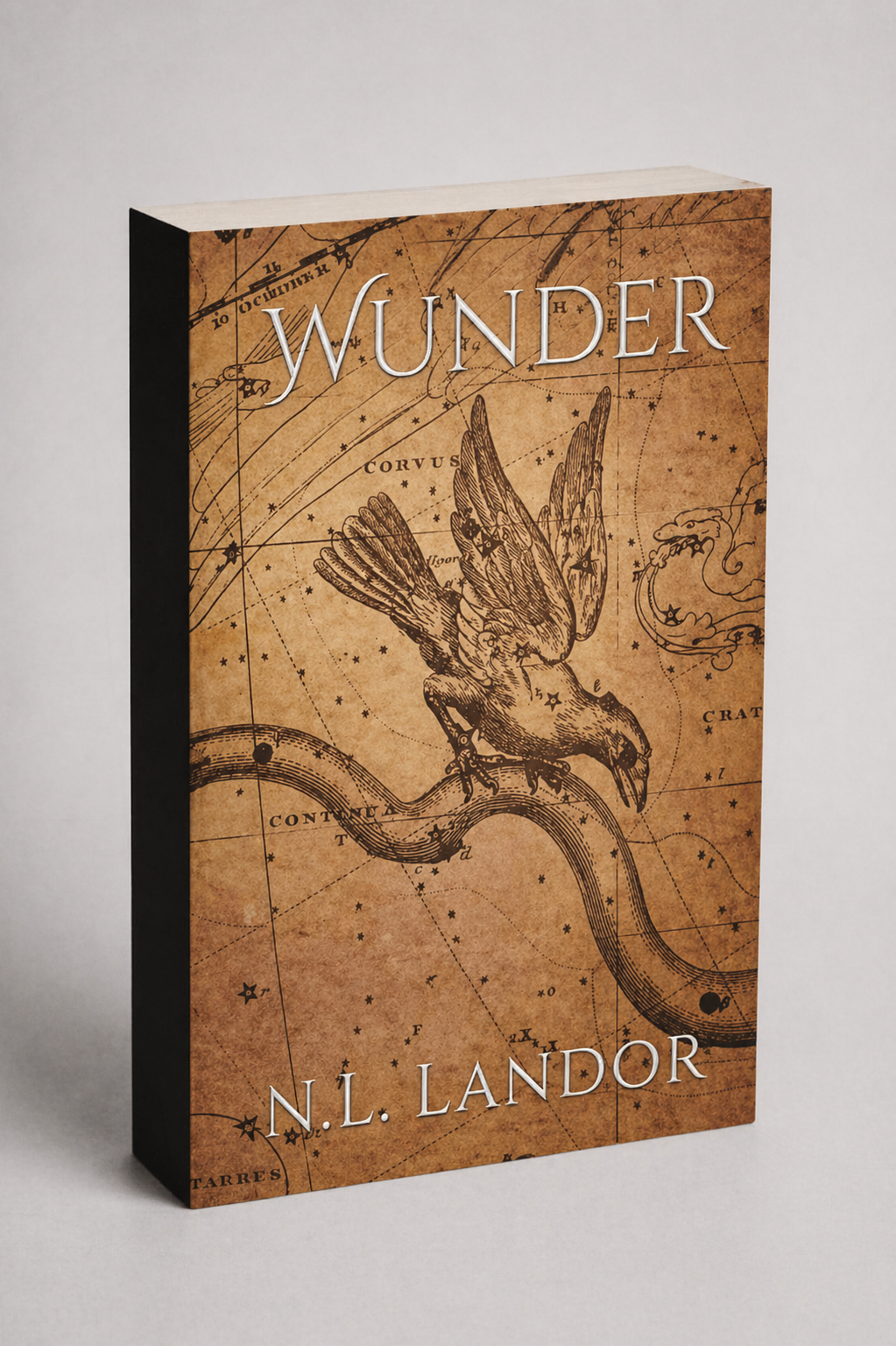 Wunder