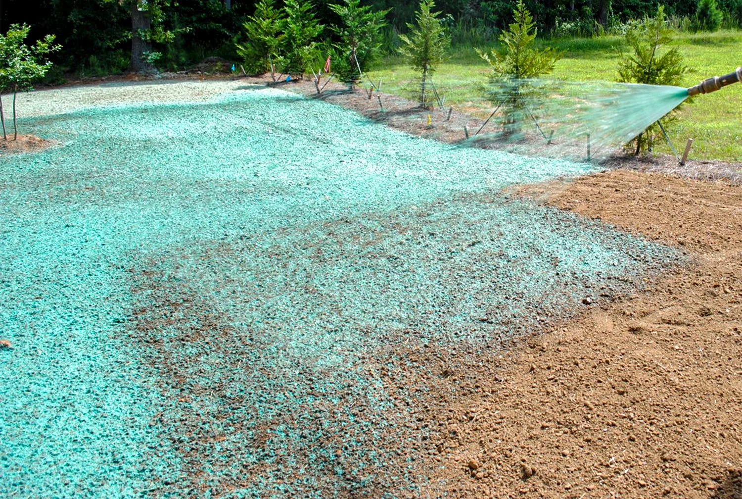 Full Front Yard Redesign